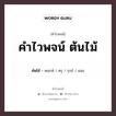 คำไวพจน์ ต้นไม้ มีอะไรบ้าง?, คำศัพท์ พฤกษ์ กลุ่มคำไวพจน์ คำไวพจน์กลุ่ม ธรรมชาติ