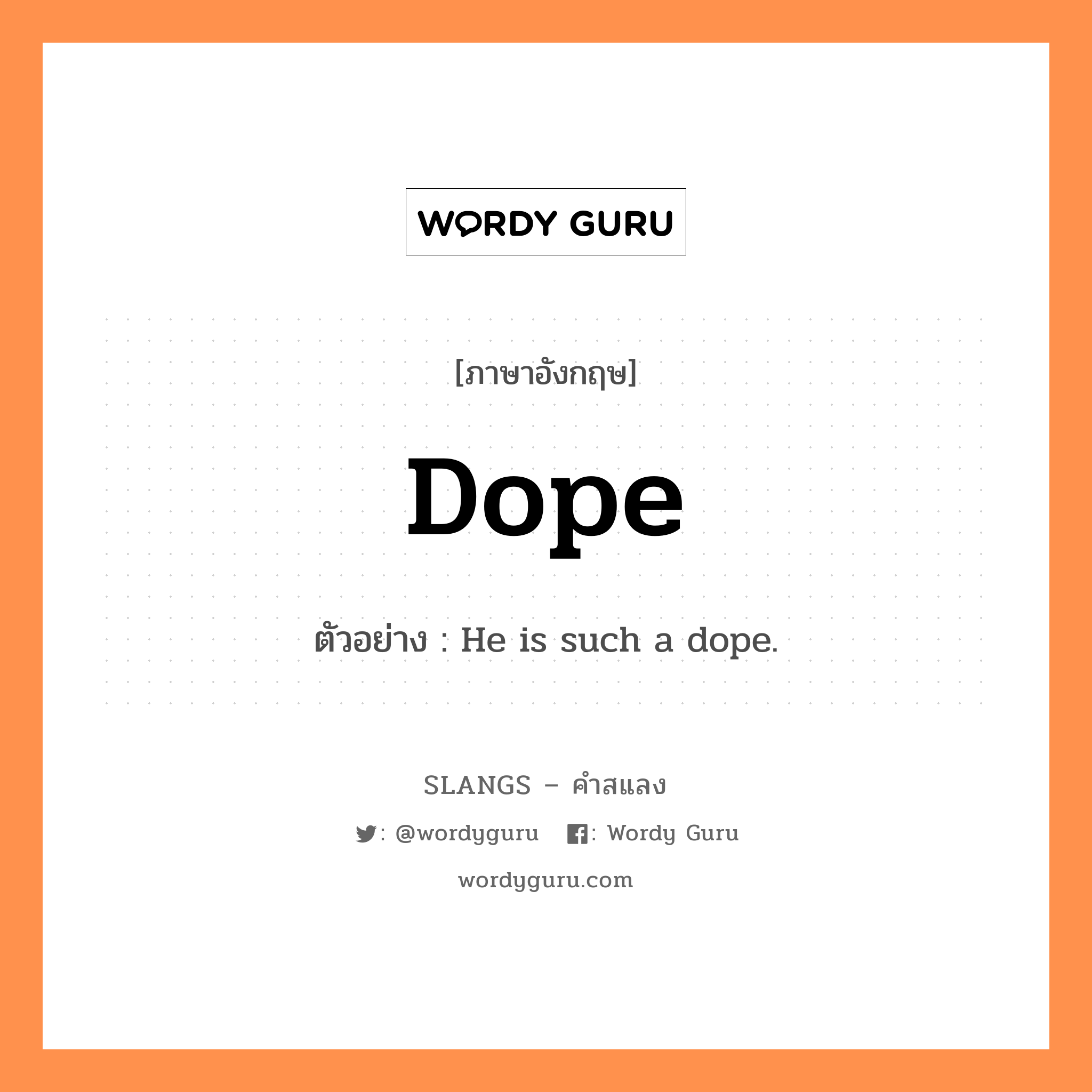 dope แปลว่า?, คำสแลงภาษาอังกฤษ dope ตัวอย่าง He is such a dope.