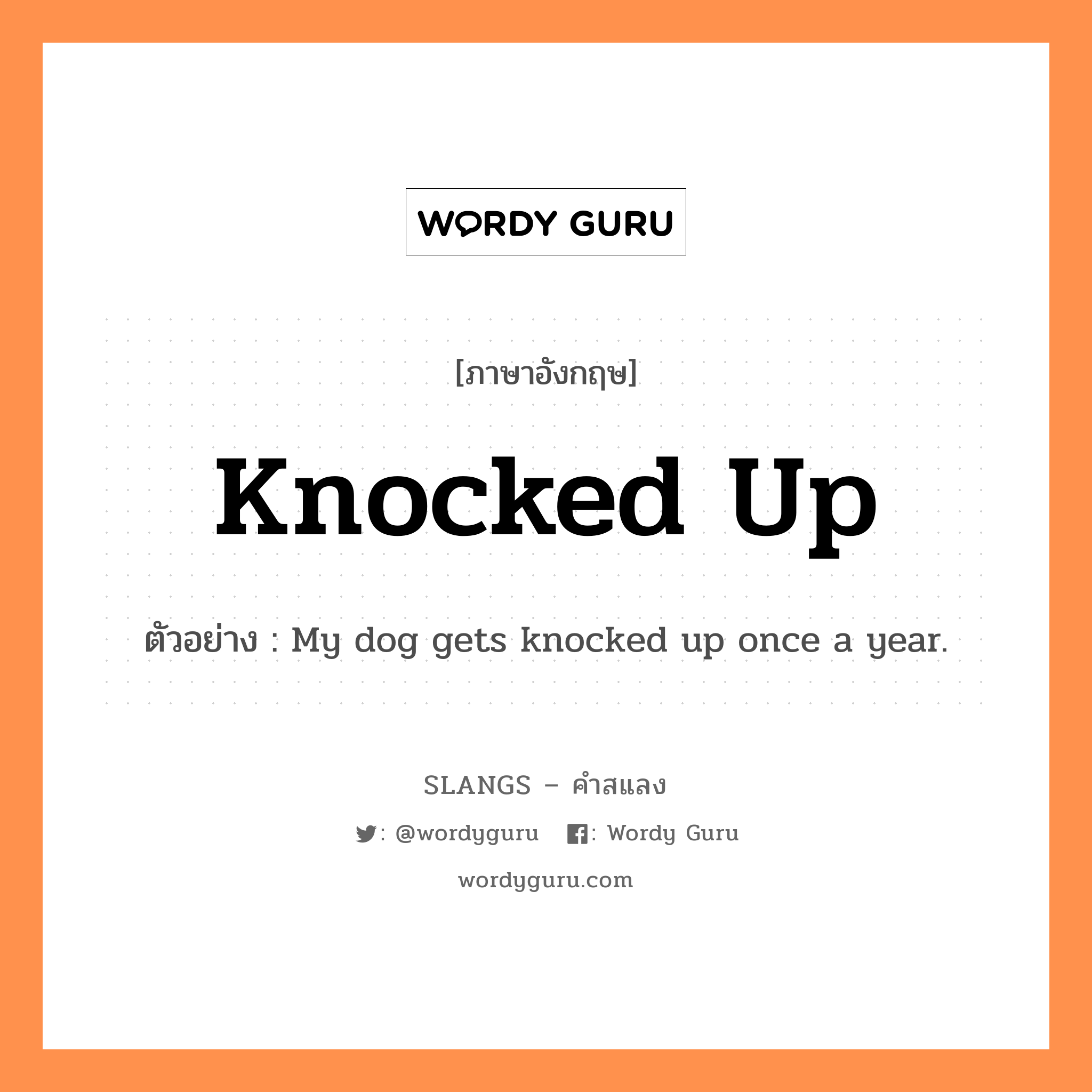 knocked up แปลว่า?, คำสแลงภาษาอังกฤษ knocked up ตัวอย่าง My dog gets knocked up once a year.