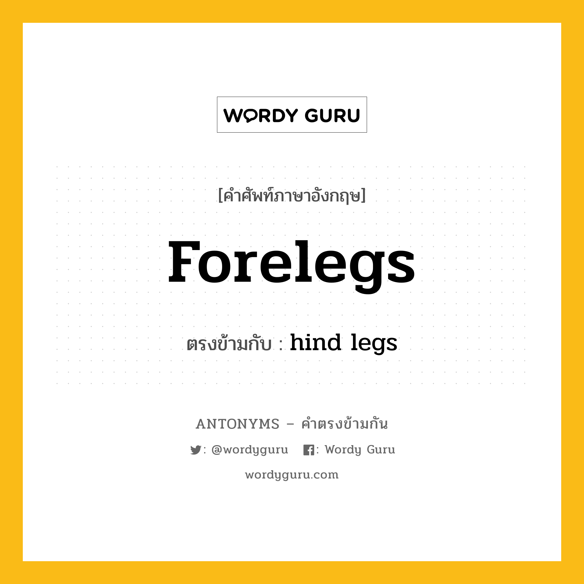 forelegs เป็นคำตรงข้ามกับคำไหนบ้าง?, คำศัพท์ภาษาอังกฤษที่มีความหมายตรงข้ามกัน forelegs ตรงข้ามกับ hind legs หมวด hind legs