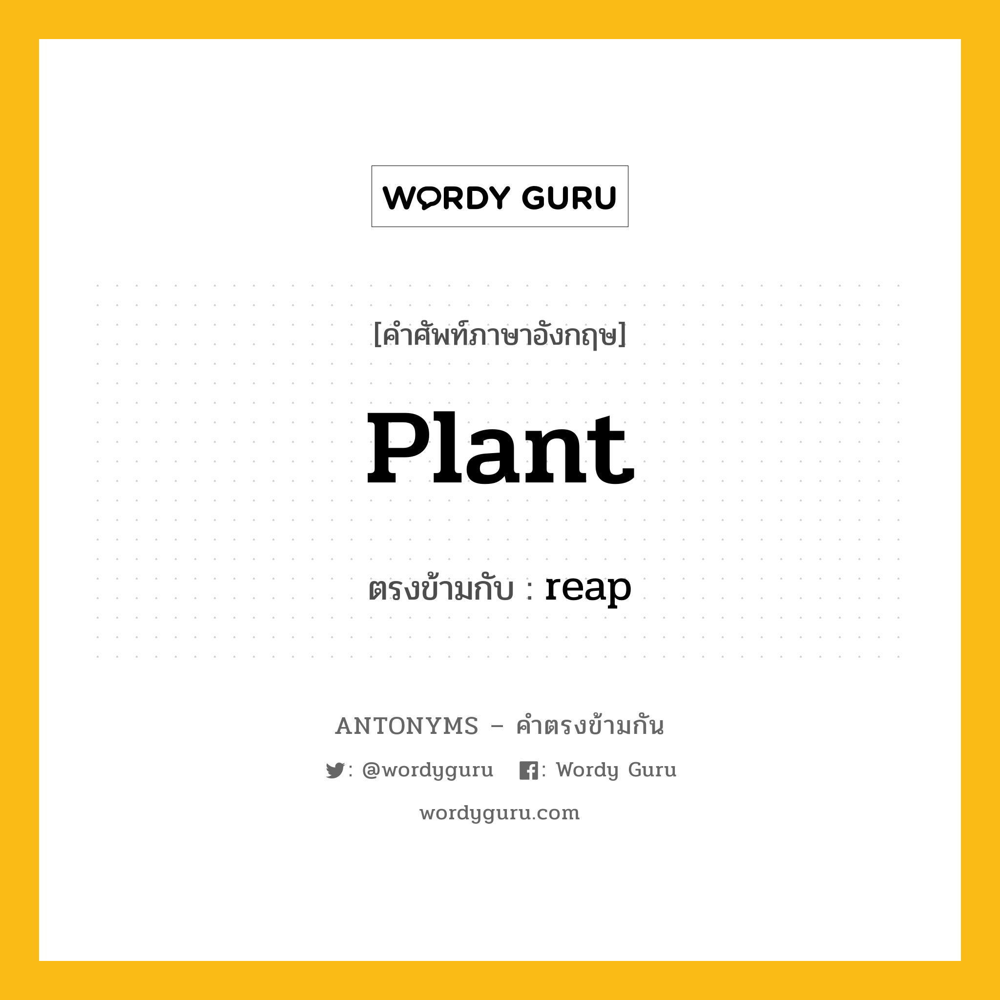 plant เป็นคำตรงข้ามกับคำไหนบ้าง?, คำศัพท์ภาษาอังกฤษที่มีความหมายตรงข้ามกัน plant ตรงข้ามกับ reap หมวด reap