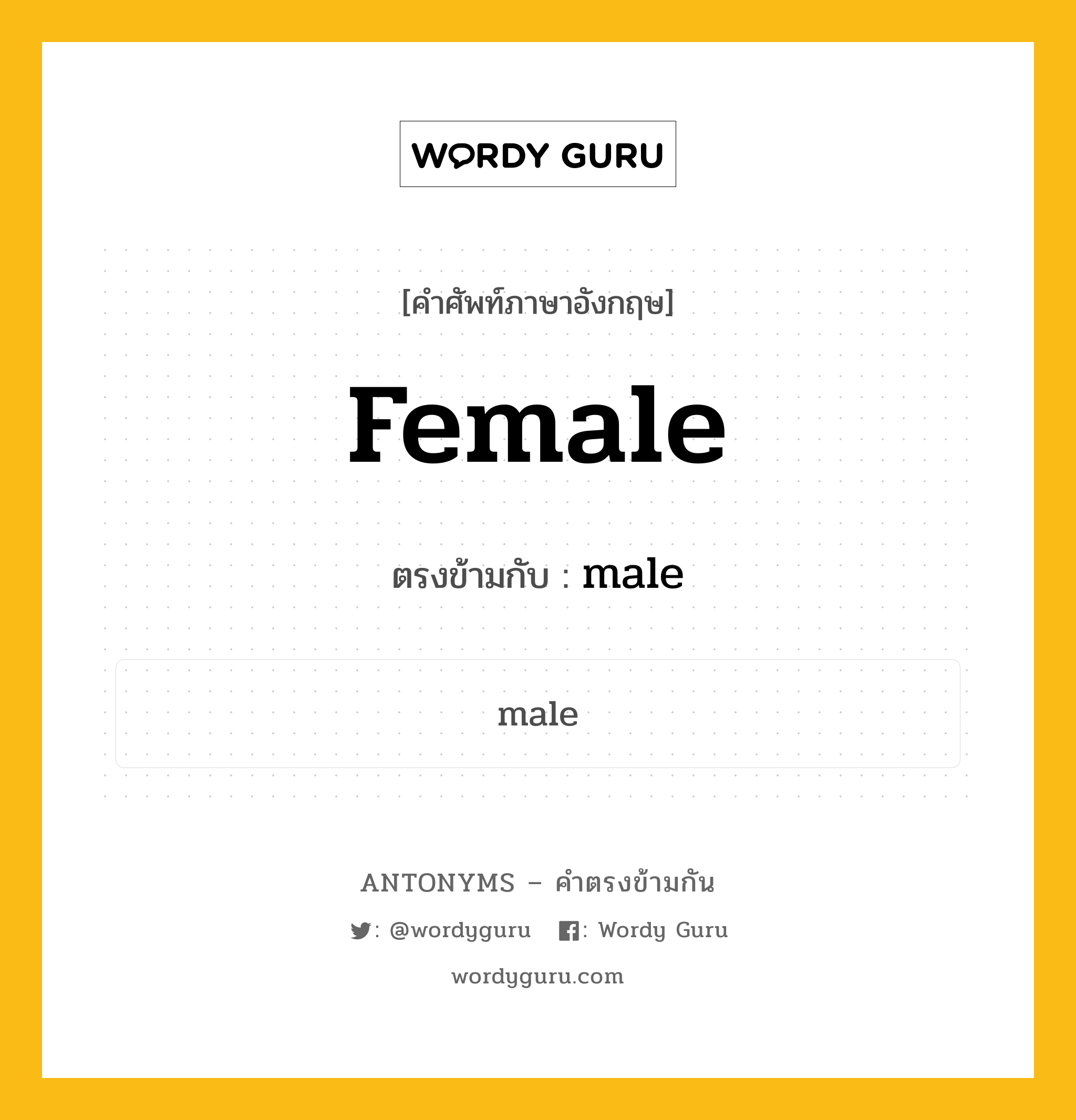 female เป็นคำตรงข้ามกับคำไหนบ้าง?, คำศัพท์ภาษาอังกฤษที่มีความหมายตรงข้ามกัน female ตรงข้ามกับ male หมวด male