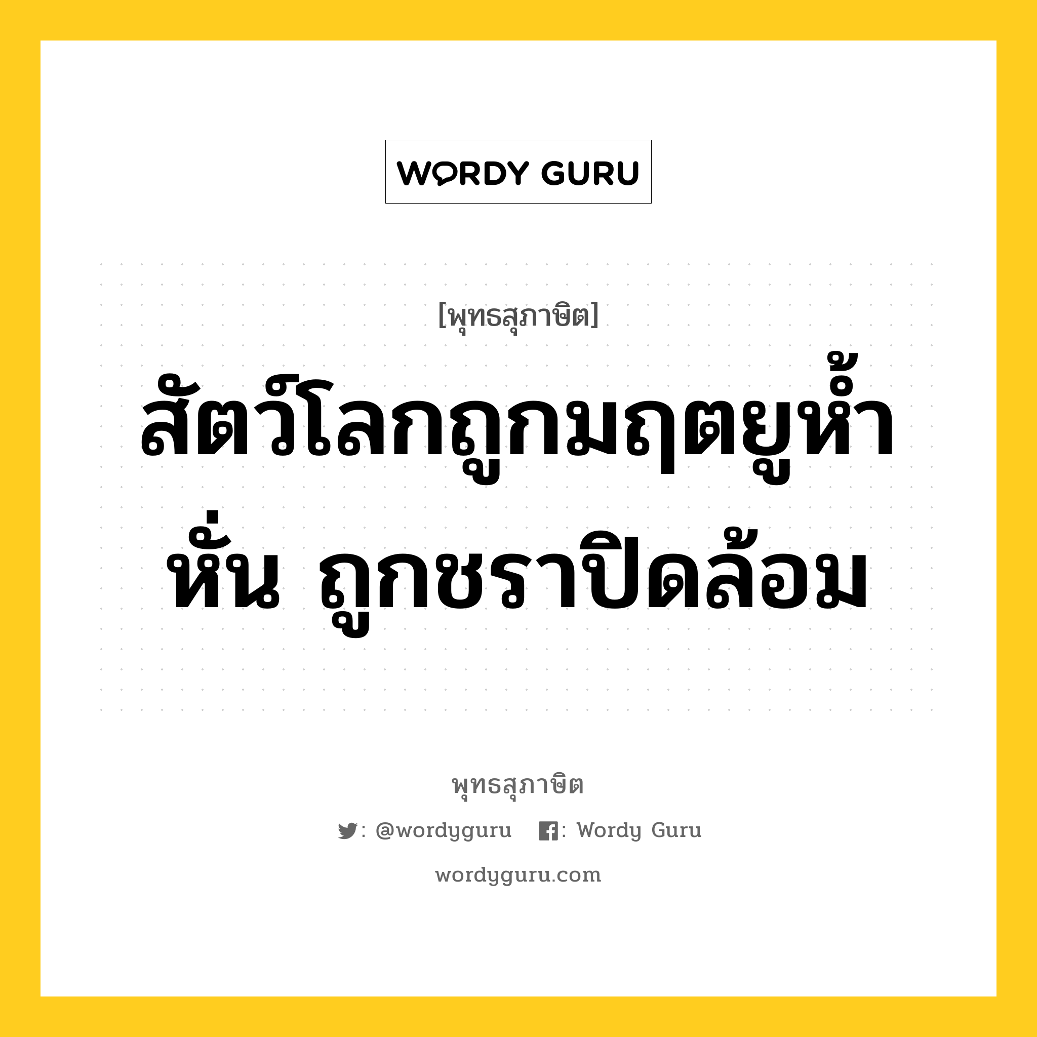 สัตว์โลกถูกมฤตยูห้ำหั่น ถูกชราปิดล้อม หมายถึงอะไร?, พุทธสุภาษิต สัตว์โลกถูกมฤตยูห้ำหั่น ถูกชราปิดล้อม หมวดหมู่ หมวดชีวิต-ความตาย หมวด หมวดชีวิต-ความตาย