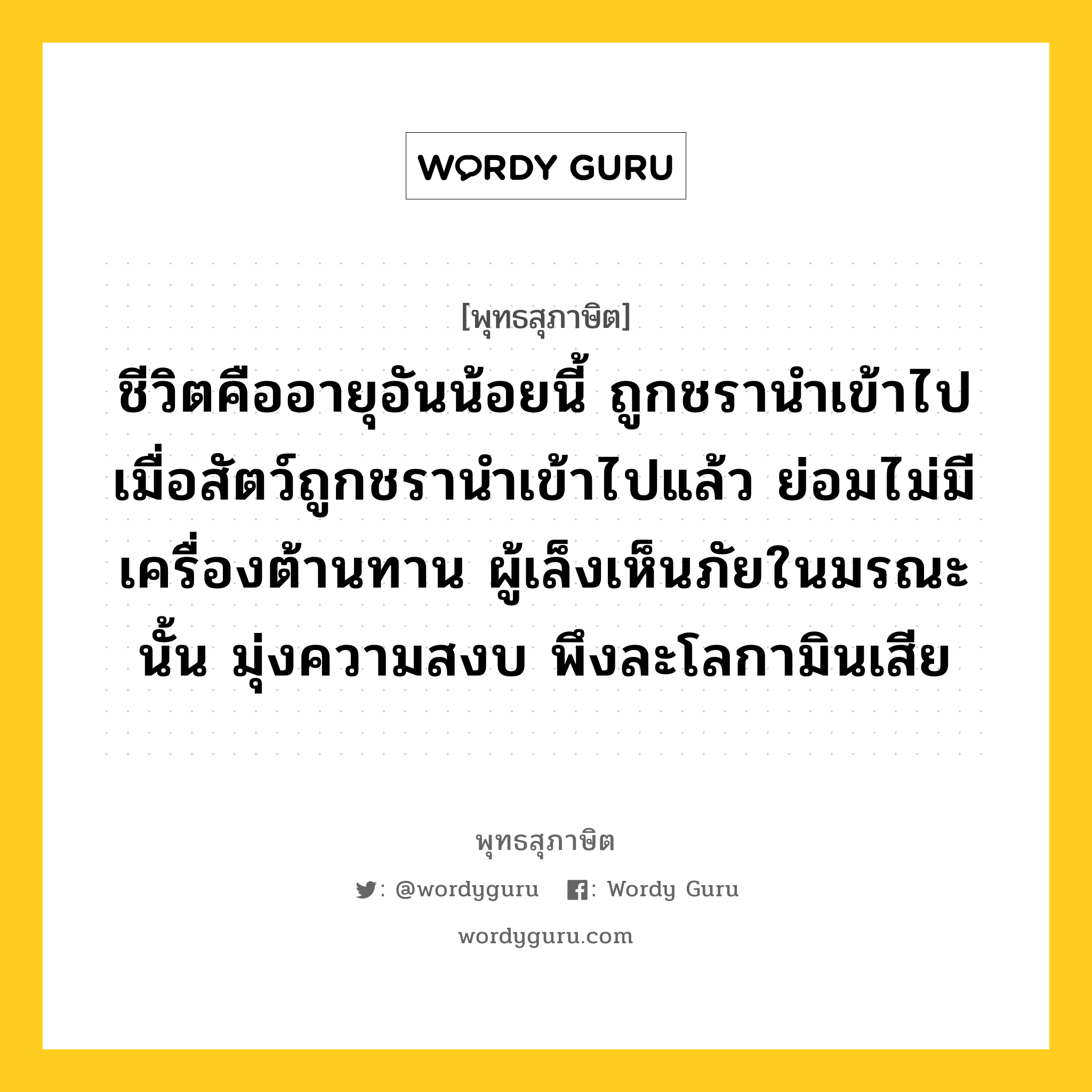 ชีวิตคืออายุอันน้อยนี้ ถูกชรานำเข้าไป เมื่อสัตว์ถูกชรานำเข้าไปแล้ว ย่อมไม่มีเครื่องต้านทาน ผู้เล็งเห็นภัยในมรณะนั้น มุ่งความสงบ พึงละโลกามินเสีย หมายถึงอะไร?, พุทธสุภาษิต ชีวิตคืออายุอันน้อยนี้ ถูกชรานำเข้าไป เมื่อสัตว์ถูกชรานำเข้าไปแล้ว ย่อมไม่มีเครื่องต้านทาน ผู้เล็งเห็นภัยในมรณะนั้น มุ่งความสงบ พึงละโลกามินเสีย หมวดหมู่ หมวดพิเศษสำหรับบุคคลทั่วไป หมวด หมวดพิเศษสำหรับบุคคลทั่วไป