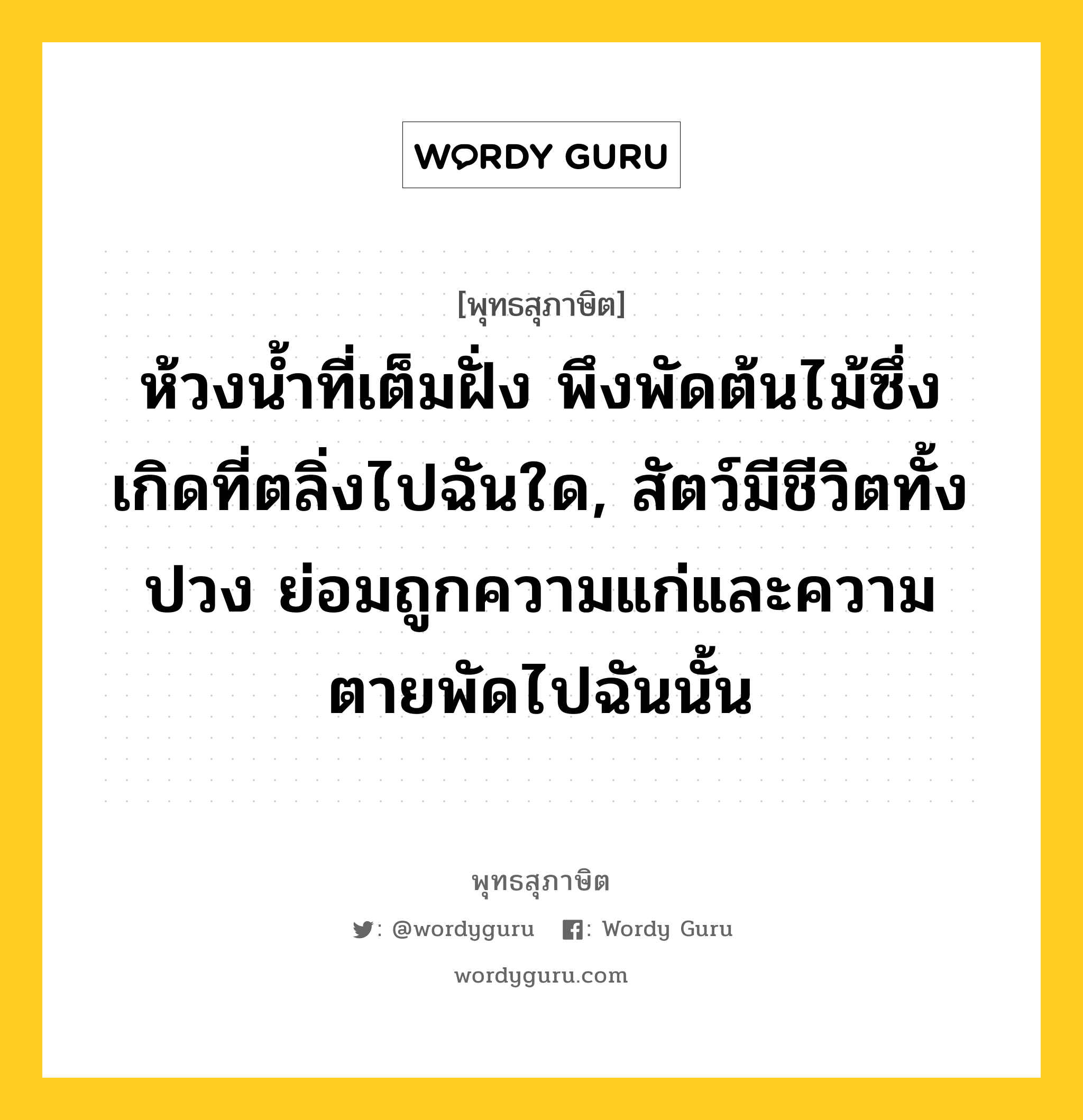 ห้วงน้ำที่เต็มฝั่ง พึงพัดต้นไม้ซึ่งเกิดที่ตลิ่งไปฉันใด, สัตว์มีชีวิตทั้งปวง ย่อมถูกความแก่และความตายพัดไปฉันนั้น หมายถึงอะไร?, พุทธสุภาษิต ห้วงน้ำที่เต็มฝั่ง พึงพัดต้นไม้ซึ่งเกิดที่ตลิ่งไปฉันใด, สัตว์มีชีวิตทั้งปวง ย่อมถูกความแก่และความตายพัดไปฉันนั้น หมวดหมู่ หมวดชีวิต-ความตาย หมวด หมวดชีวิต-ความตาย