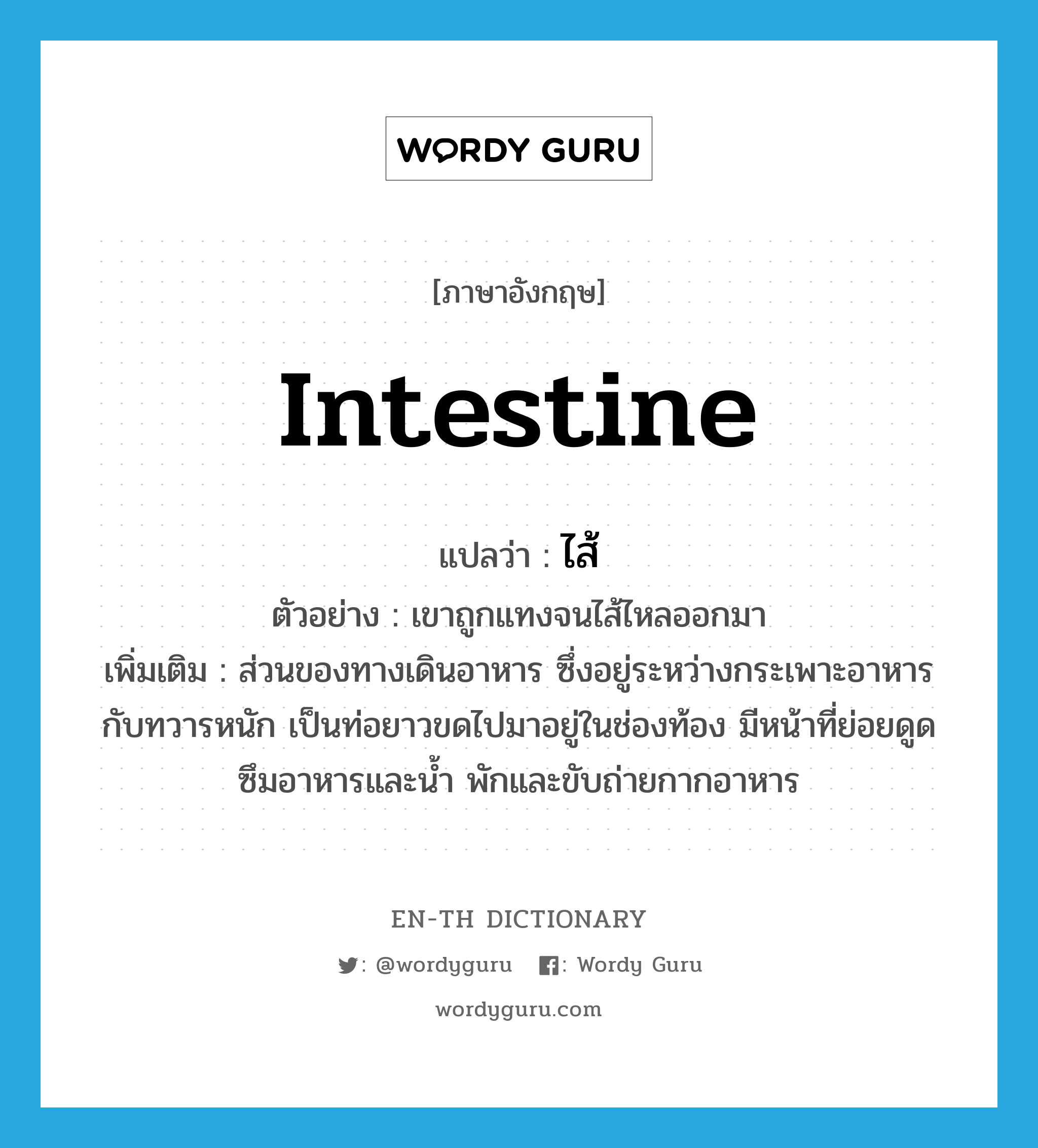 intestine แปลว่า?, คำศัพท์ภาษาอังกฤษ intestine แปลว่า ไส้ ประเภท N ตัวอย่าง เขาถูกแทงจนไส้ไหลออกมา เพิ่มเติม ส่วนของทางเดินอาหาร ซึ่งอยู่ระหว่างกระเพาะอาหารกับทวารหนัก เป็นท่อยาวขดไปมาอยู่ในช่องท้อง มีหน้าที่ย่อยดูดซึมอาหารและน้ำ พักและขับถ่ายกากอาหาร หมวด N