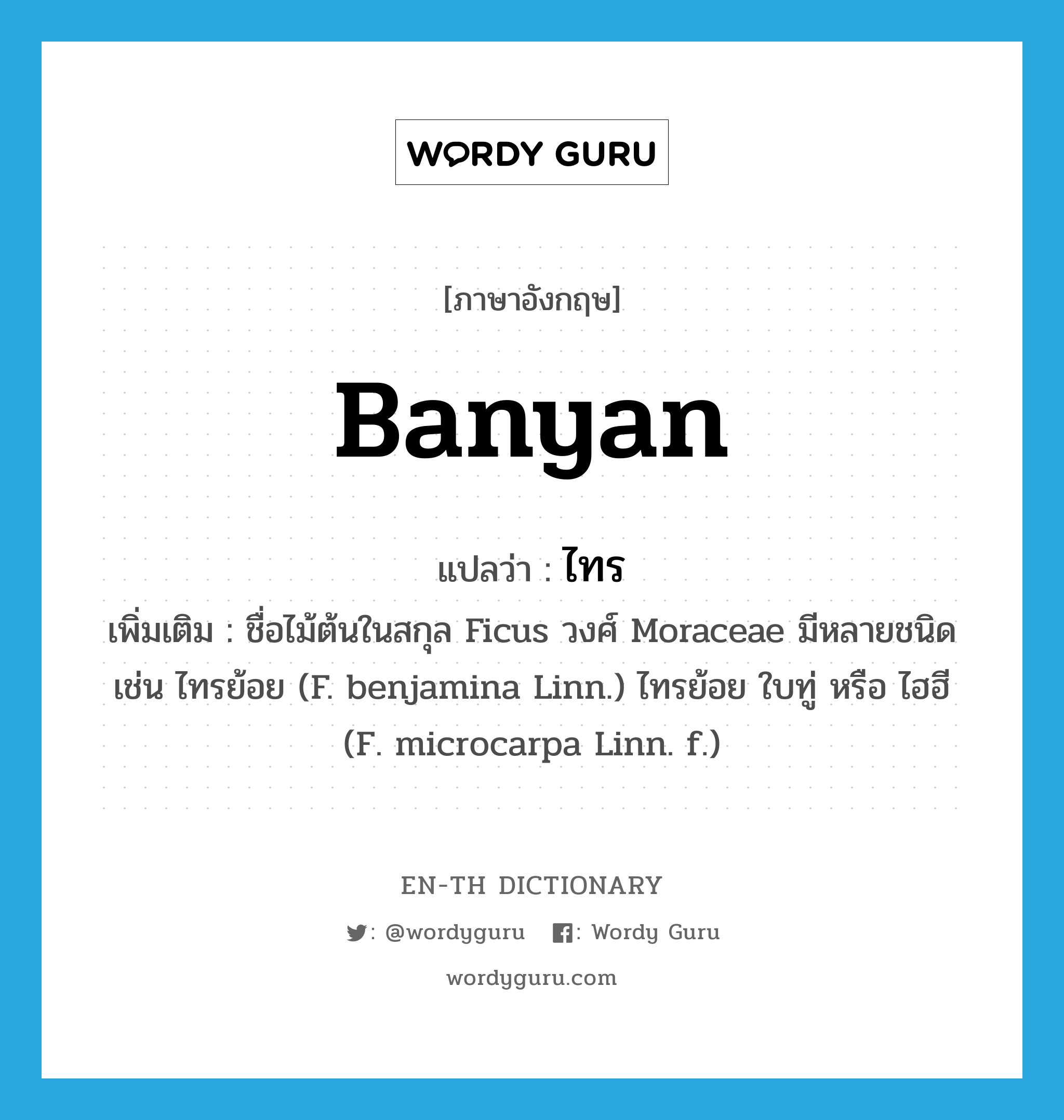 banyan แปลว่า?, คำศัพท์ภาษาอังกฤษ banyan แปลว่า ไทร ประเภท N เพิ่มเติม ชื่อไม้ต้นในสกุล Ficus วงศ์ Moraceae มีหลายชนิด เช่น ไทรย้อย (F. benjamina Linn.) ไทรย้อย ใบทู่ หรือ ไฮฮี (F. microcarpa Linn. f.) หมวด N