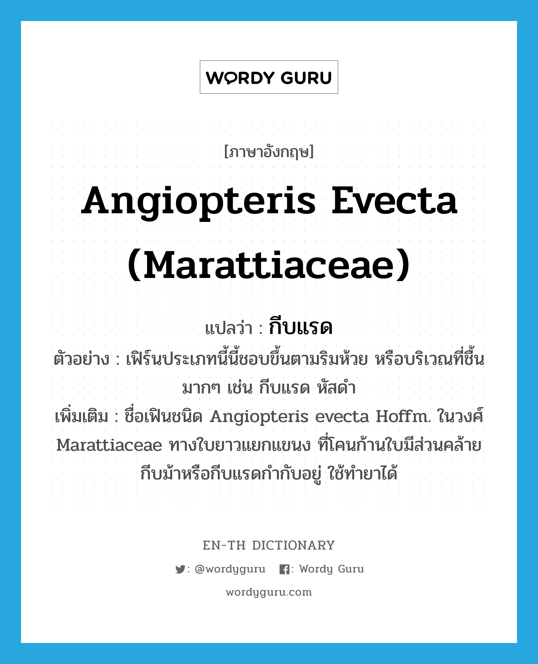 Angiopteris evecta (Marattiaceae) แปลว่า?, คำศัพท์ภาษาอังกฤษ Angiopteris evecta (Marattiaceae) แปลว่า กีบแรด ประเภท N ตัวอย่าง เฟิร์นประเภทนี้นี้ชอบขึ้นตามริมห้วย หรือบริเวณที่ชื้นมากๆ เช่น กีบแรด หัสดำ เพิ่มเติม ชื่อเฟินชนิด Angiopteris evecta Hoffm. ในวงศ์ Marattiaceae ทางใบยาวแยกแขนง ที่โคนก้านใบมีส่วนคล้ายกีบม้าหรือกีบแรดกำกับอยู่ ใช้ทำยาได้ หมวด N