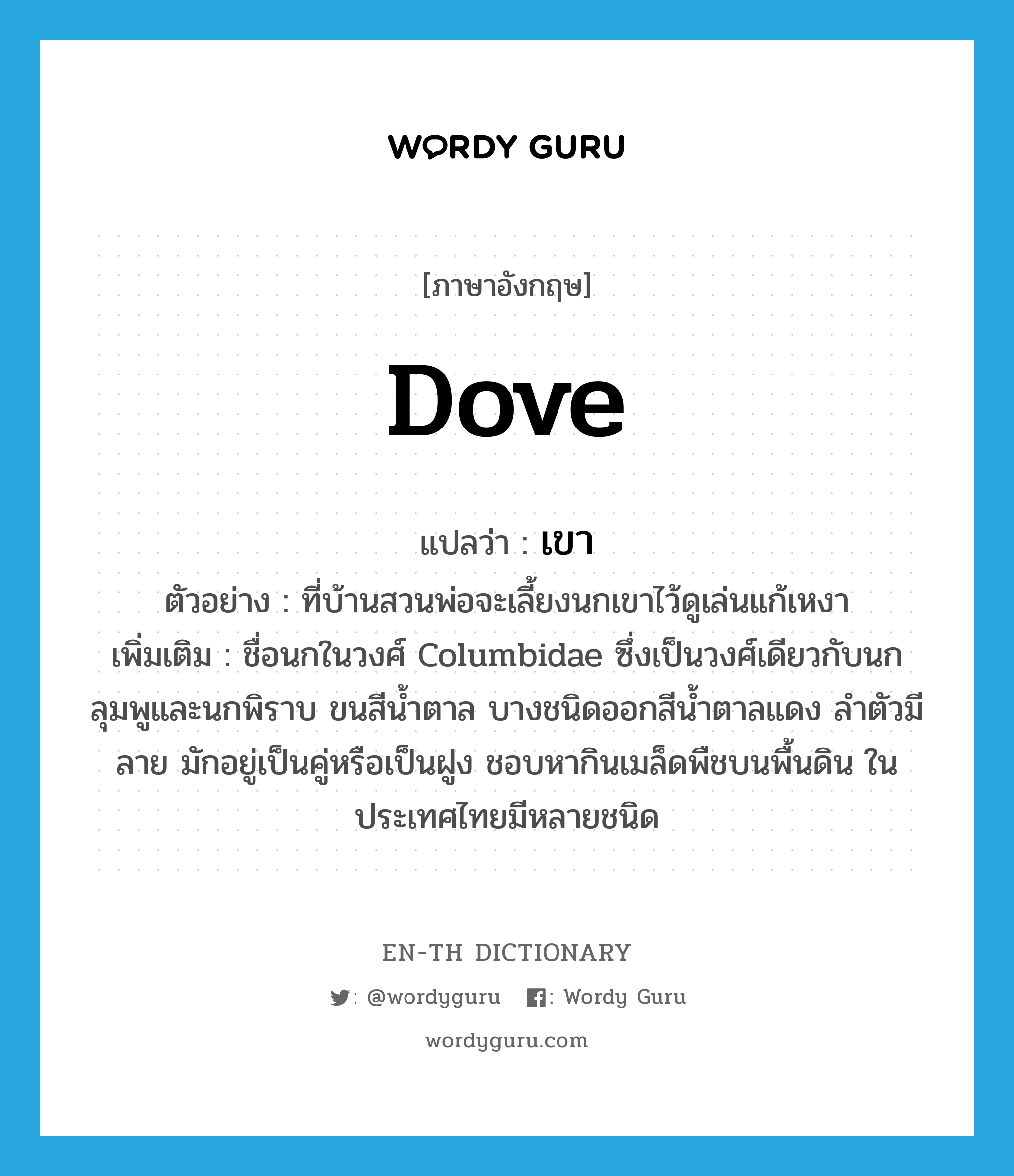 dove แปลว่า?, คำศัพท์ภาษาอังกฤษ dove แปลว่า เขา ประเภท N ตัวอย่าง ที่บ้านสวนพ่อจะเลี้ยงนกเขาไว้ดูเล่นแก้เหงา เพิ่มเติม ชื่อนกในวงศ์ Columbidae ซึ่งเป็นวงศ์เดียวกับนกลุมพูและนกพิราบ ขนสีน้ำตาล บางชนิดออกสีน้ำตาลแดง ลำตัวมีลาย มักอยู่เป็นคู่หรือเป็นฝูง ชอบหากินเมล็ดพืชบนพื้นดิน ในประเทศไทยมีหลายชนิด หมวด N