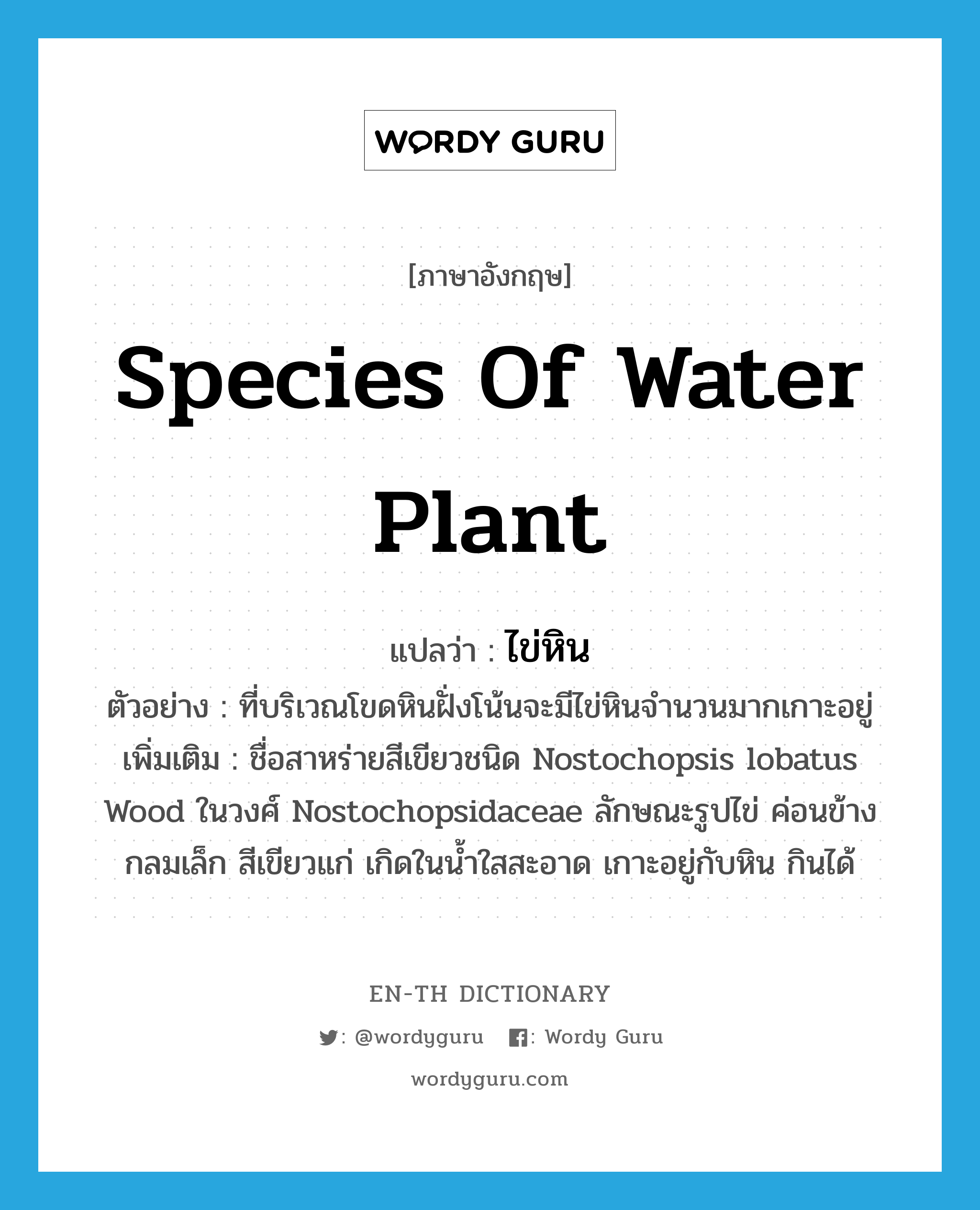 species of water plant แปลว่า?, คำศัพท์ภาษาอังกฤษ species of water plant แปลว่า ไข่หิน ประเภท N ตัวอย่าง ที่บริเวณโขดหินฝั่งโน้นจะมีไข่หินจำนวนมากเกาะอยู่ เพิ่มเติม ชื่อสาหร่ายสีเขียวชนิด Nostochopsis lobatus Wood ในวงศ์ Nostochopsidaceae ลักษณะรูปไข่ ค่อนข้างกลมเล็ก สีเขียวแก่ เกิดในน้ำใสสะอาด เกาะอยู่กับหิน กินได้ หมวด N