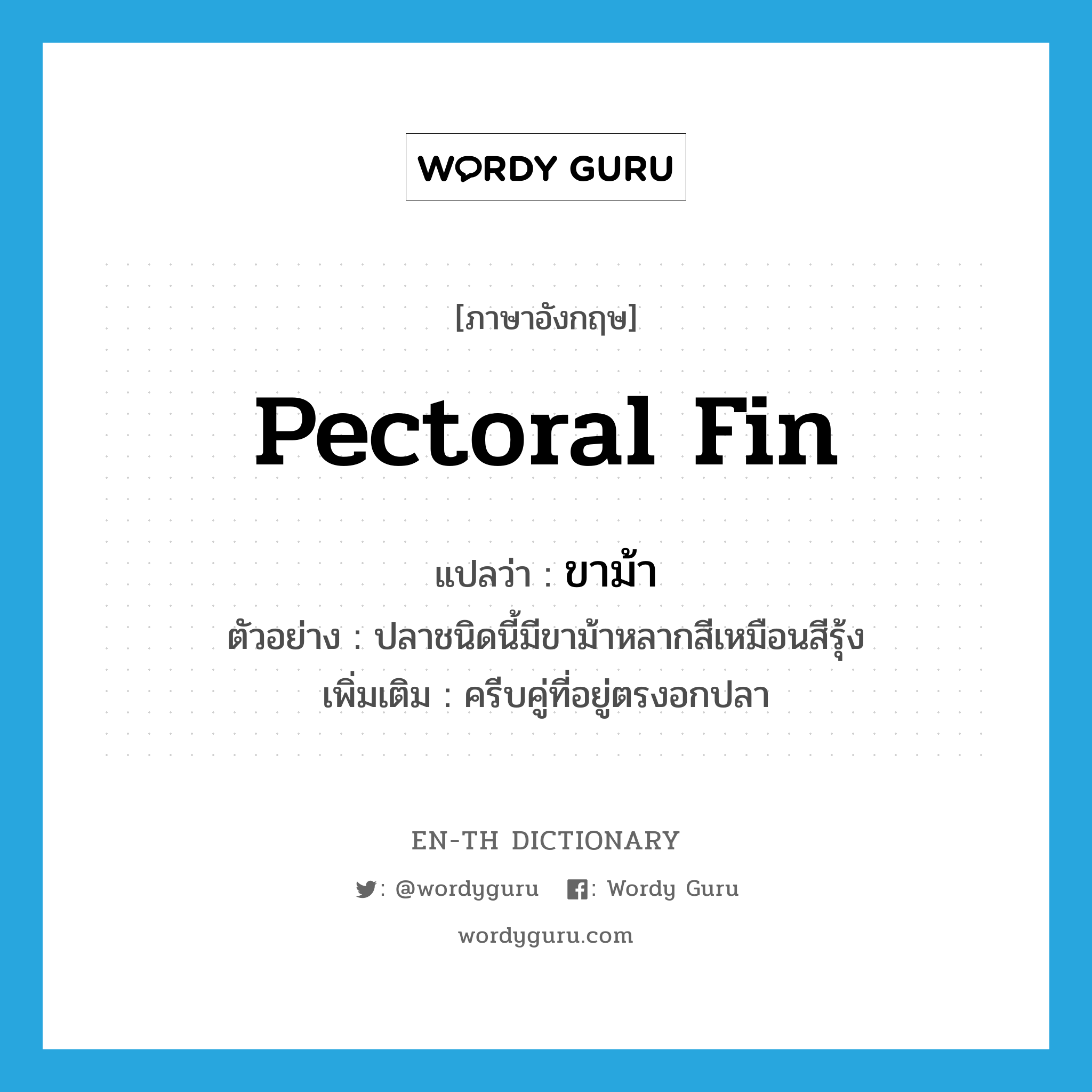 pectoral fin แปลว่า?, คำศัพท์ภาษาอังกฤษ pectoral fin แปลว่า ขาม้า ประเภท N ตัวอย่าง ปลาชนิดนี้มีขาม้าหลากสีเหมือนสีรุ้ง เพิ่มเติม ครีบคู่ที่อยู่ตรงอกปลา หมวด N