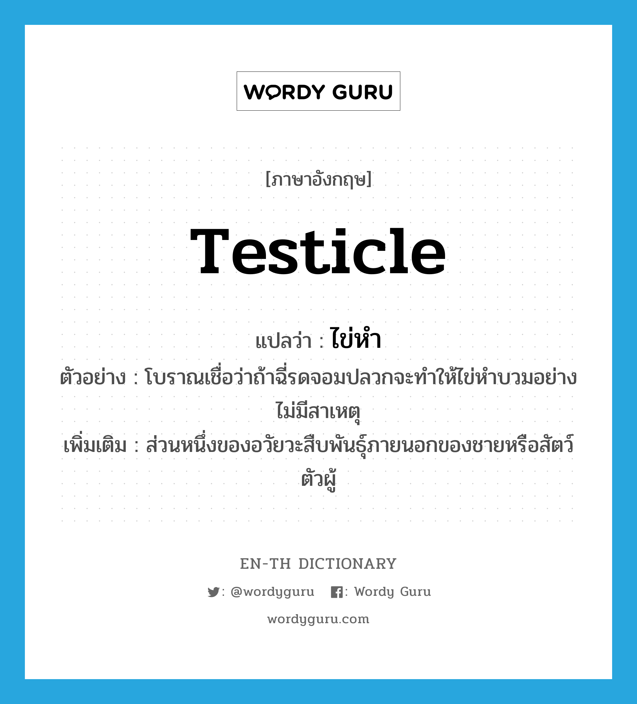 testicle แปลว่า?, คำศัพท์ภาษาอังกฤษ testicle แปลว่า ไข่หำ ประเภท N ตัวอย่าง โบราณเชื่อว่าถ้าฉี่รดจอมปลวกจะทำให้ไข่หำบวมอย่างไม่มีสาเหตุ เพิ่มเติม ส่วนหนึ่งของอวัยวะสืบพันธุ์ภายนอกของชายหรือสัตว์ตัวผู้ หมวด N