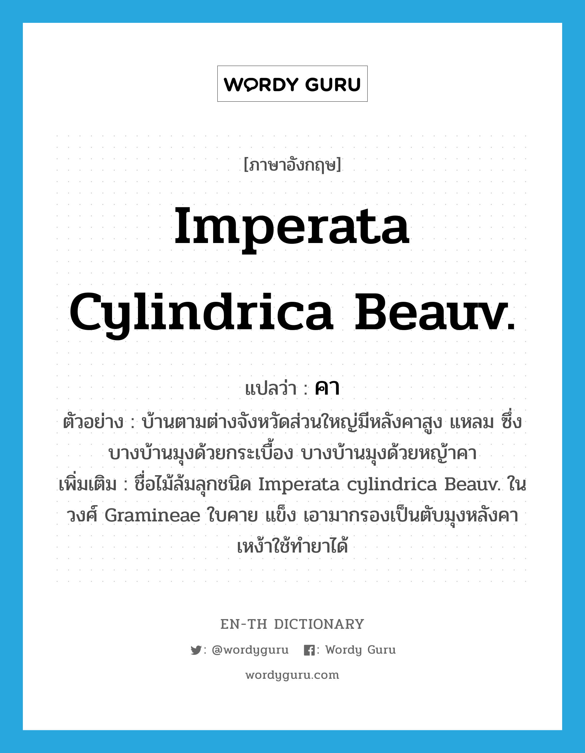 Imperata cylindrica Beauv. แปลว่า?, คำศัพท์ภาษาอังกฤษ Imperata cylindrica Beauv. แปลว่า คา ประเภท N ตัวอย่าง บ้านตามต่างจังหวัดส่วนใหญ่มีหลังคาสูง แหลม ซึ่งบางบ้านมุงด้วยกระเบื้อง บางบ้านมุงด้วยหญ้าคา เพิ่มเติม ชื่อไม้ล้มลุกชนิด Imperata cylindrica Beauv. ในวงศ์ Gramineae ใบคาย แข็ง เอามากรองเป็นตับมุงหลังคา เหง้าใช้ทำยาได้ หมวด N