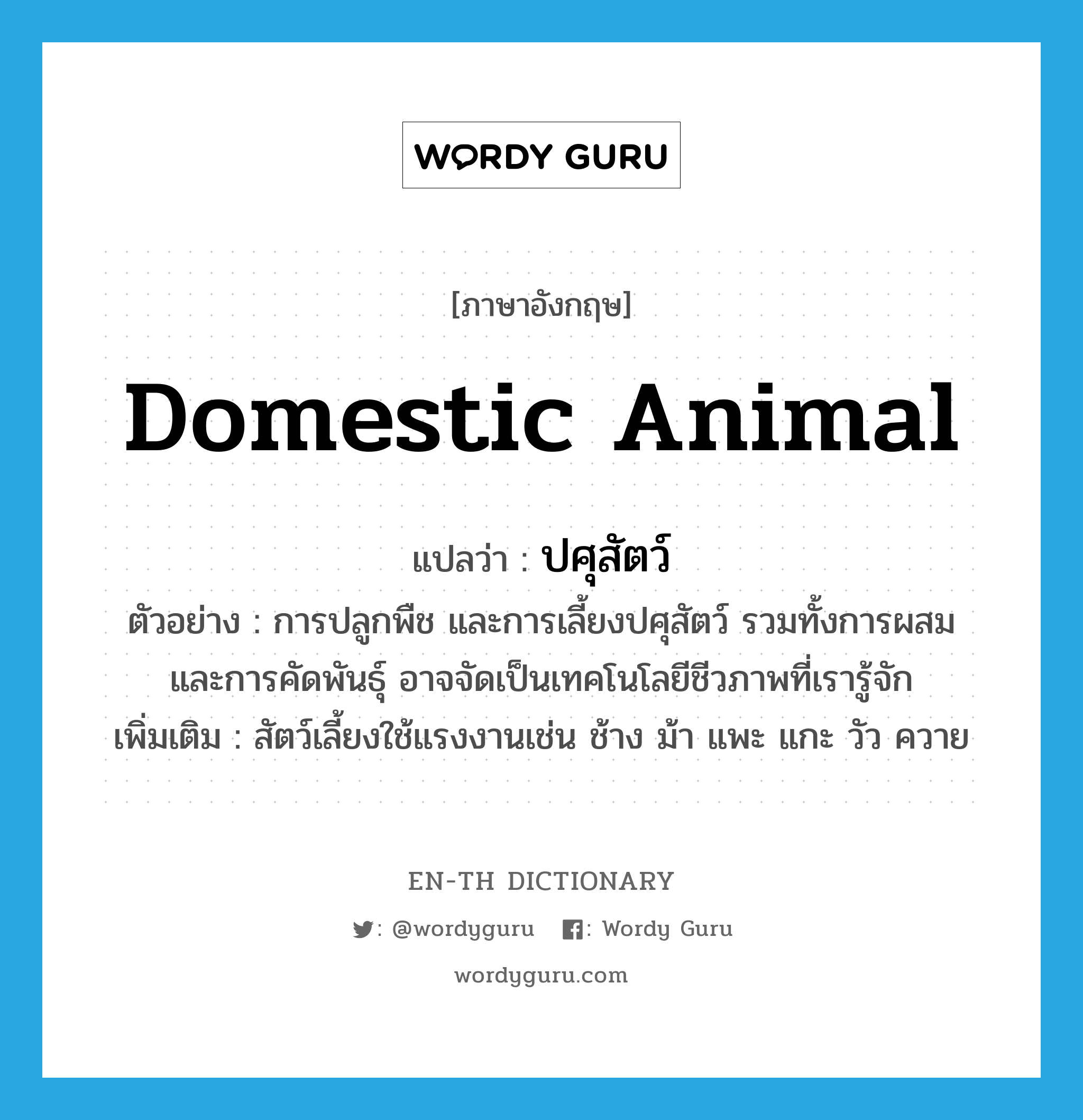 domestic animal แปลว่า?, คำศัพท์ภาษาอังกฤษ domestic animal แปลว่า ปศุสัตว์ ประเภท N ตัวอย่าง การปลูกพืช และการเลี้ยงปศุสัตว์ รวมทั้งการผสม และการคัดพันธุ์ อาจจัดเป็นเทคโนโลยีชีวภาพที่เรารู้จัก เพิ่มเติม สัตว์เลี้ยงใช้แรงงานเช่น ช้าง ม้า แพะ แกะ วัว ควาย หมวด N