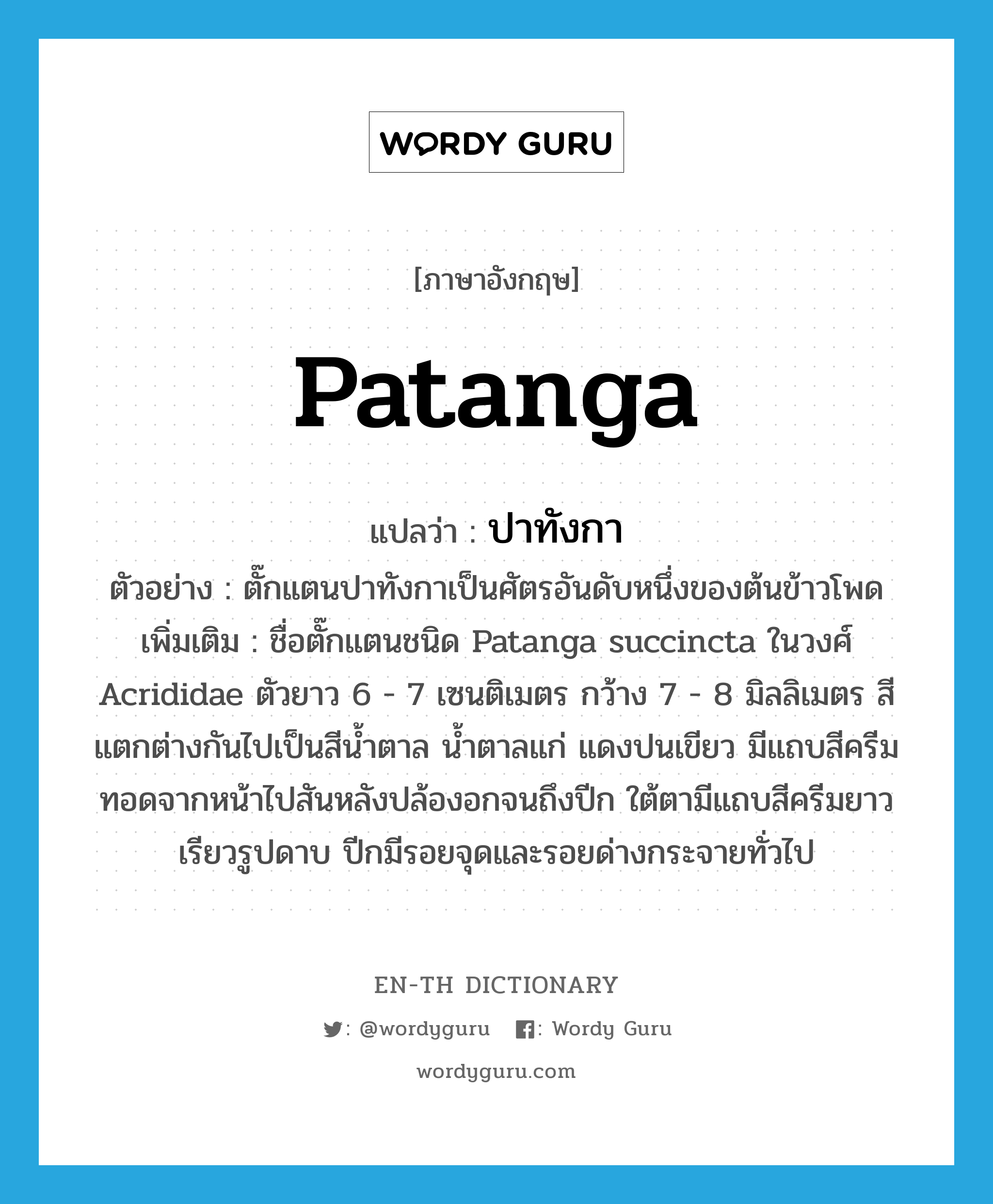 patanga แปลว่า?, คำศัพท์ภาษาอังกฤษ patanga แปลว่า ปาทังกา ประเภท N ตัวอย่าง ตั๊กแตนปาทังกาเป็นศัตรอันดับหนึ่งของต้นข้าวโพด เพิ่มเติม ชื่อตั๊กแตนชนิด Patanga succincta ในวงศ์ Acrididae ตัวยาว 6 - 7 เซนติเมตร กว้าง 7 - 8 มิลลิเมตร สีแตกต่างกันไปเป็นสีน้ำตาล น้ำตาลแก่ แดงปนเขียว มีแถบสีครีมทอดจากหน้าไปสันหลังปล้องอกจนถึงปีก ใต้ตามีแถบสีครีมยาวเรียวรูปดาบ ปีกมีรอยจุดและรอยด่างกระจายทั่วไป หมวด N