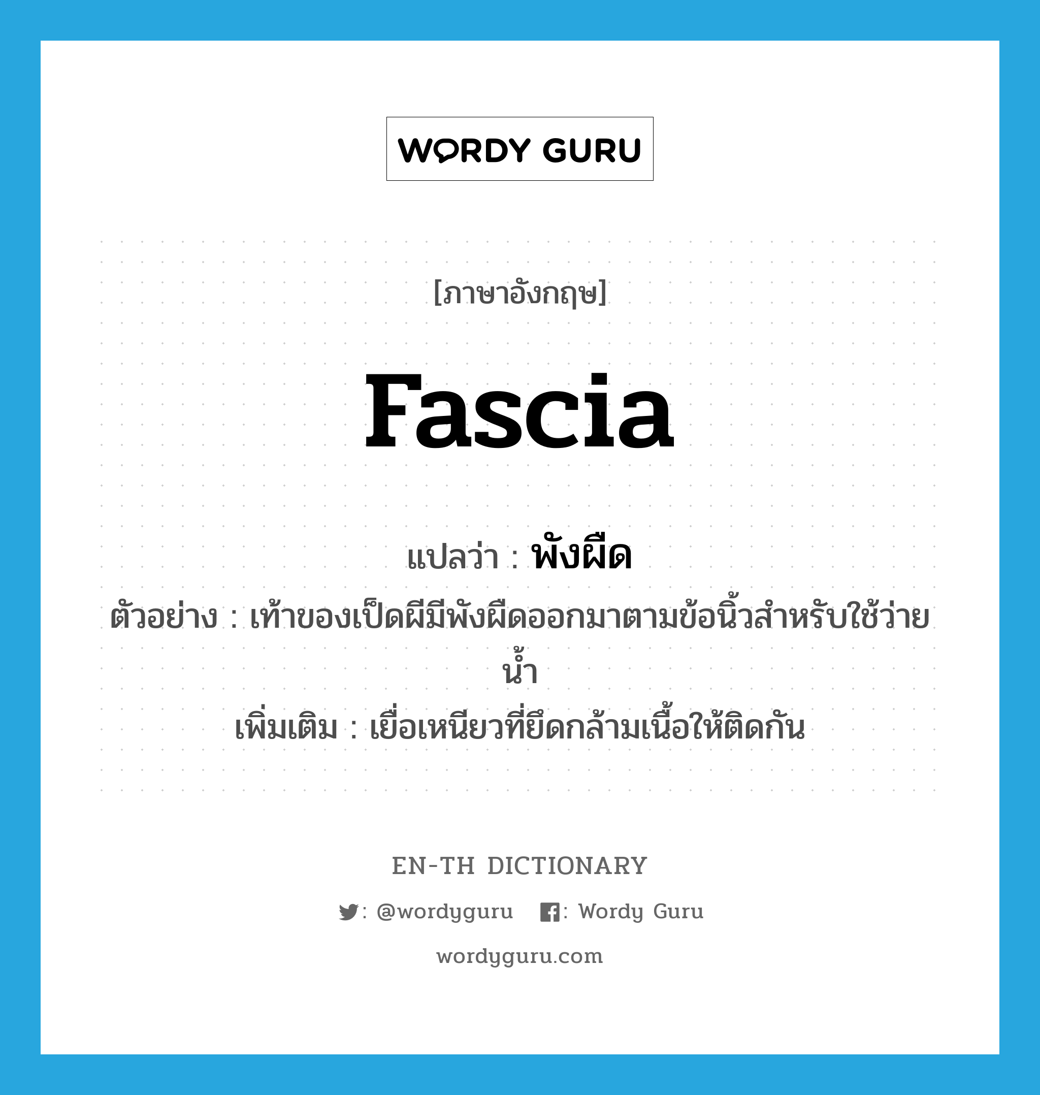 fascia แปลว่า?, คำศัพท์ภาษาอังกฤษ fascia แปลว่า พังผืด ประเภท N ตัวอย่าง เท้าของเป็ดผีมีพังผืดออกมาตามข้อนิ้วสำหรับใช้ว่ายน้ำ เพิ่มเติม เยื่อเหนียวที่ยึดกล้ามเนื้อให้ติดกัน หมวด N