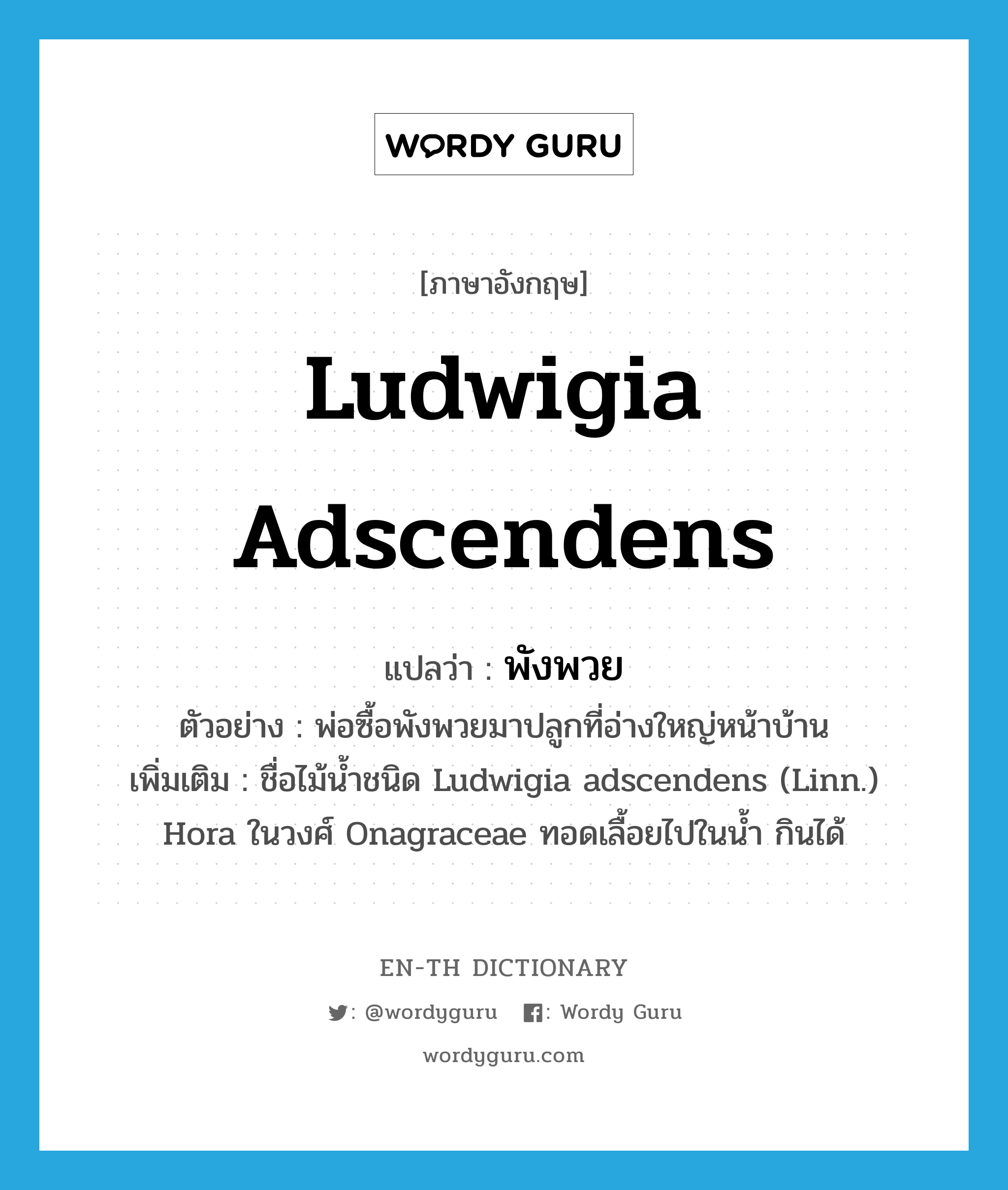 Ludwigia adscendens แปลว่า?, คำศัพท์ภาษาอังกฤษ Ludwigia adscendens แปลว่า พังพวย ประเภท N ตัวอย่าง พ่อซื้อพังพวยมาปลูกที่อ่างใหญ่หน้าบ้าน เพิ่มเติม ชื่อไม้น้ำชนิด Ludwigia adscendens (Linn.) Hora ในวงศ์ Onagraceae ทอดเลื้อยไปในน้ำ กินได้ หมวด N