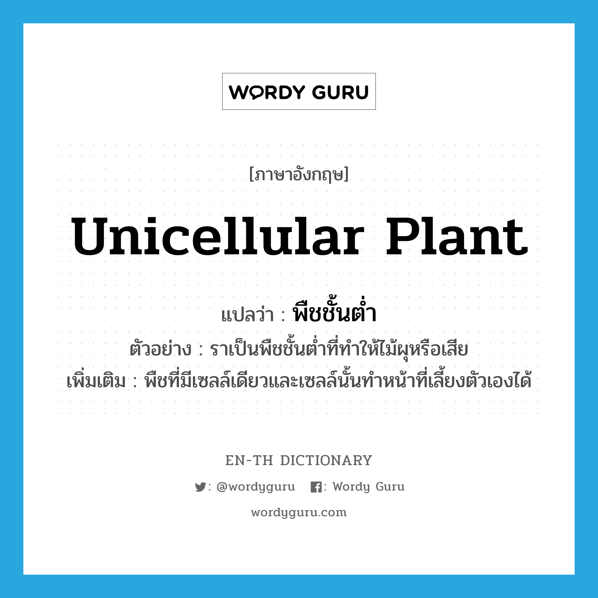 unicellular plant แปลว่า?, คำศัพท์ภาษาอังกฤษ unicellular plant แปลว่า พืชชั้นต่ำ ประเภท N ตัวอย่าง ราเป็นพืชชั้นต่ำที่ทำให้ไม้ผุหรือเสีย เพิ่มเติม พืชที่มีเซลล์เดียวและเซลล์นั้นทำหน้าที่เลี้ยงตัวเองได้ หมวด N