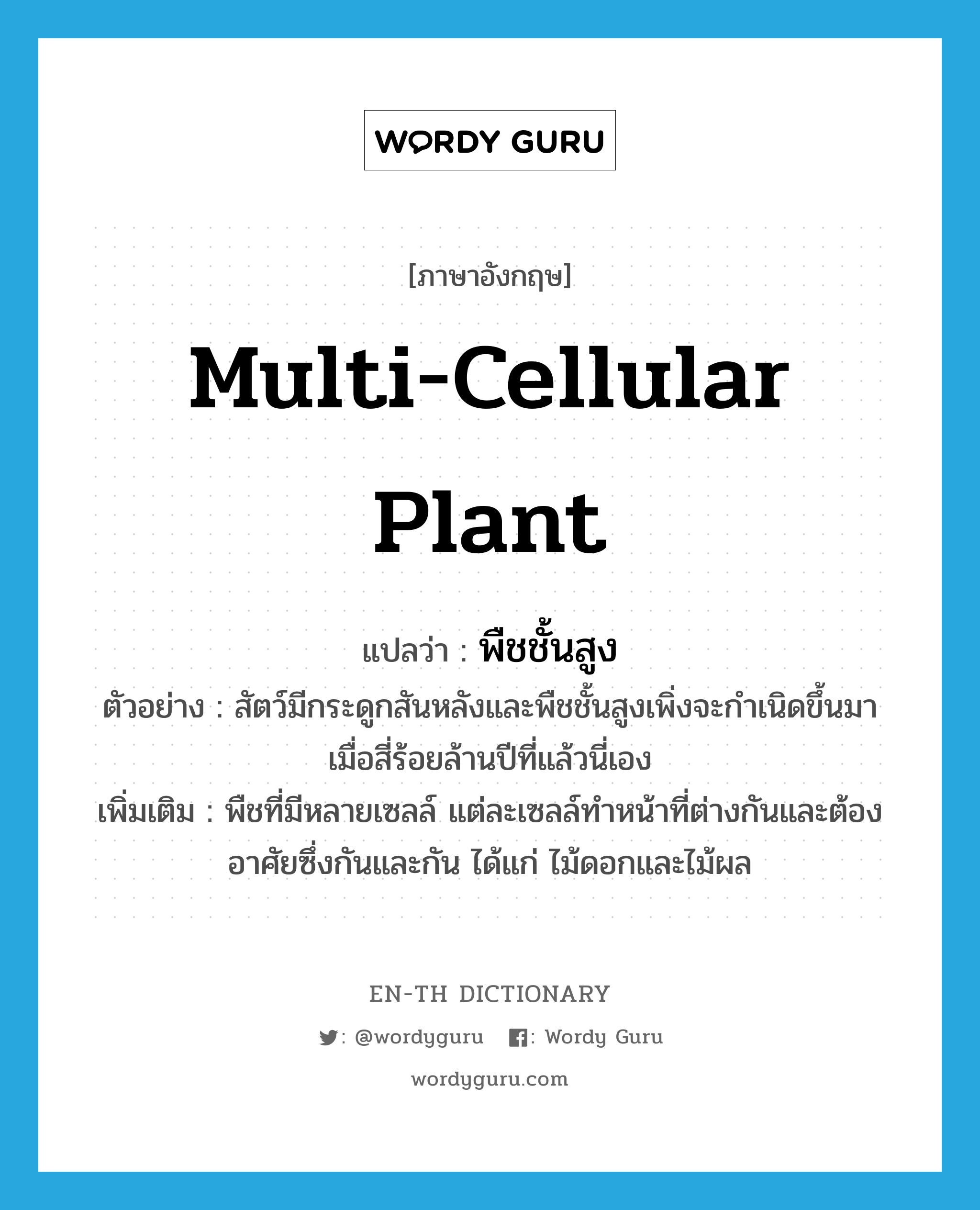 multi-cellular plant แปลว่า?, คำศัพท์ภาษาอังกฤษ multi-cellular plant แปลว่า พืชชั้นสูง ประเภท N ตัวอย่าง สัตว์มีกระดูกสันหลังและพืชชั้นสูงเพิ่งจะกำเนิดขึ้นมาเมื่อสี่ร้อยล้านปีที่แล้วนี่เอง เพิ่มเติม พืชที่มีหลายเซลล์ แต่ละเซลล์ทำหน้าที่ต่างกันและต้องอาศัยซึ่งกันและกัน ได้แก่ ไม้ดอกและไม้ผล หมวด N