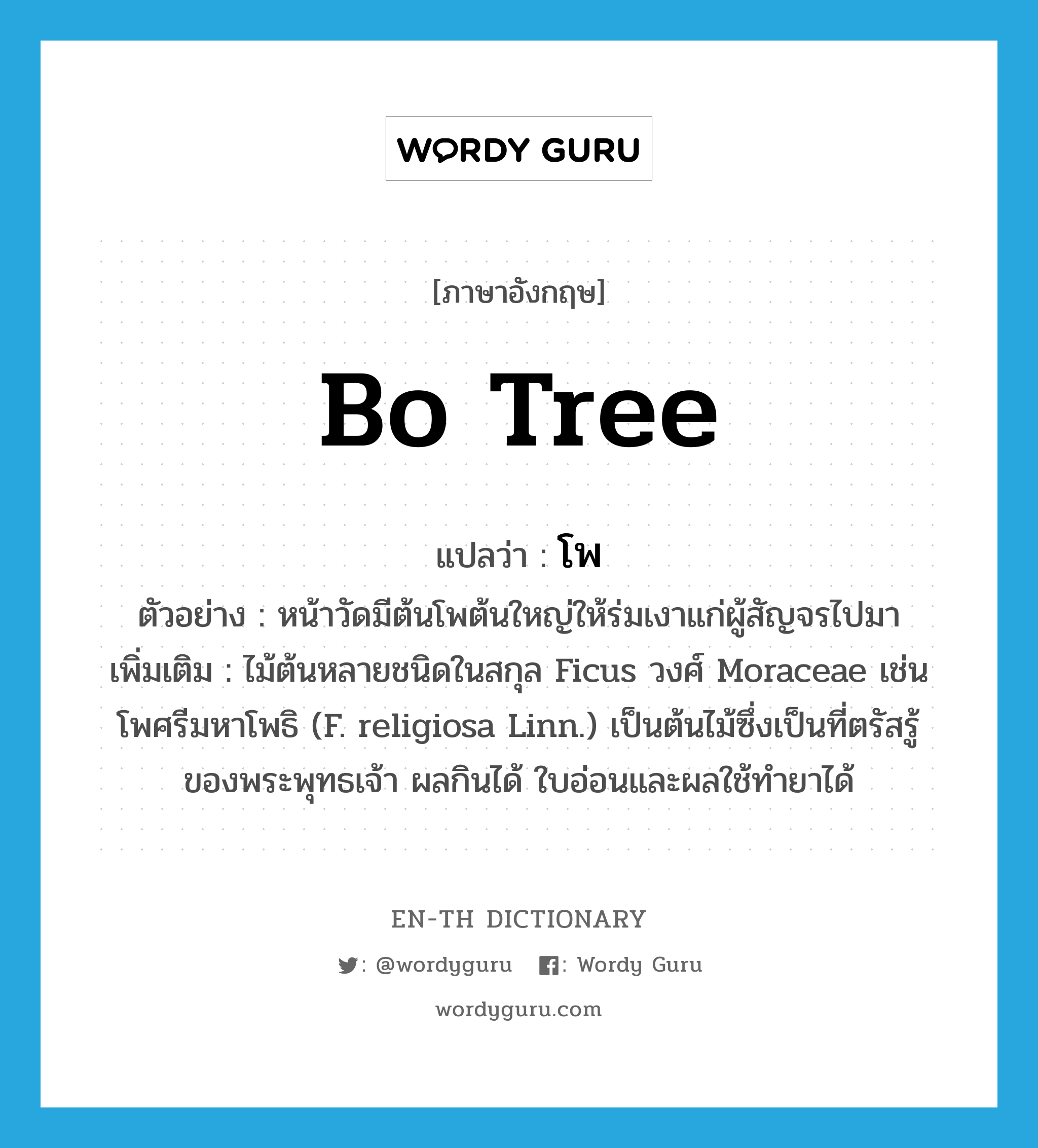 bo tree แปลว่า?, คำศัพท์ภาษาอังกฤษ bo tree แปลว่า โพ ประเภท N ตัวอย่าง หน้าวัดมีต้นโพต้นใหญ่ให้ร่มเงาแก่ผู้สัญจรไปมา เพิ่มเติม ไม้ต้นหลายชนิดในสกุล Ficus วงศ์ Moraceae เช่น โพศรีมหาโพธิ (F. religiosa Linn.) เป็นต้นไม้ซึ่งเป็นที่ตรัสรู้ของพระพุทธเจ้า ผลกินได้ ใบอ่อนและผลใช้ทำยาได้ หมวด N