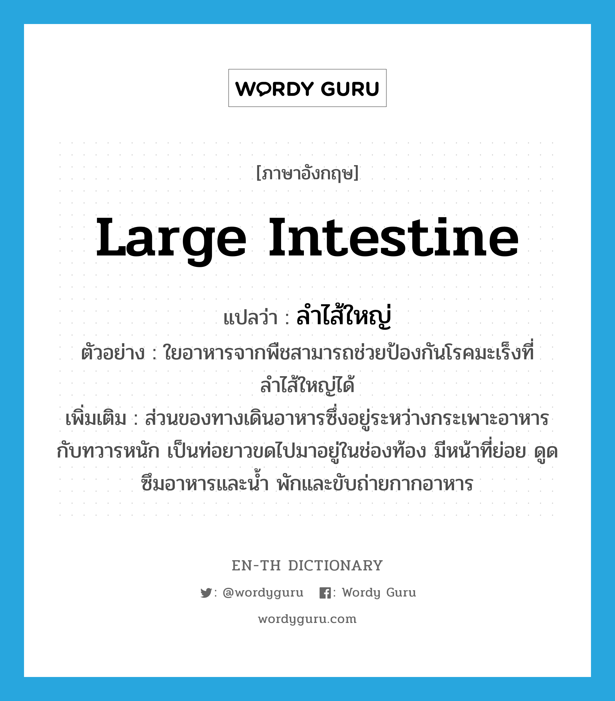 large intestine แปลว่า?, คำศัพท์ภาษาอังกฤษ large intestine แปลว่า ลำไส้ใหญ่ ประเภท N ตัวอย่าง ใยอาหารจากพืชสามารถช่วยป้องกันโรคมะเร็งที่ลำไส้ใหญ่ได้ เพิ่มเติม ส่วนของทางเดินอาหารซึ่งอยู่ระหว่างกระเพาะอาหารกับทวารหนัก เป็นท่อยาวขดไปมาอยู่ในช่องท้อง มีหน้าที่ย่อย ดูดซึมอาหารและน้ำ พักและขับถ่ายกากอาหาร หมวด N