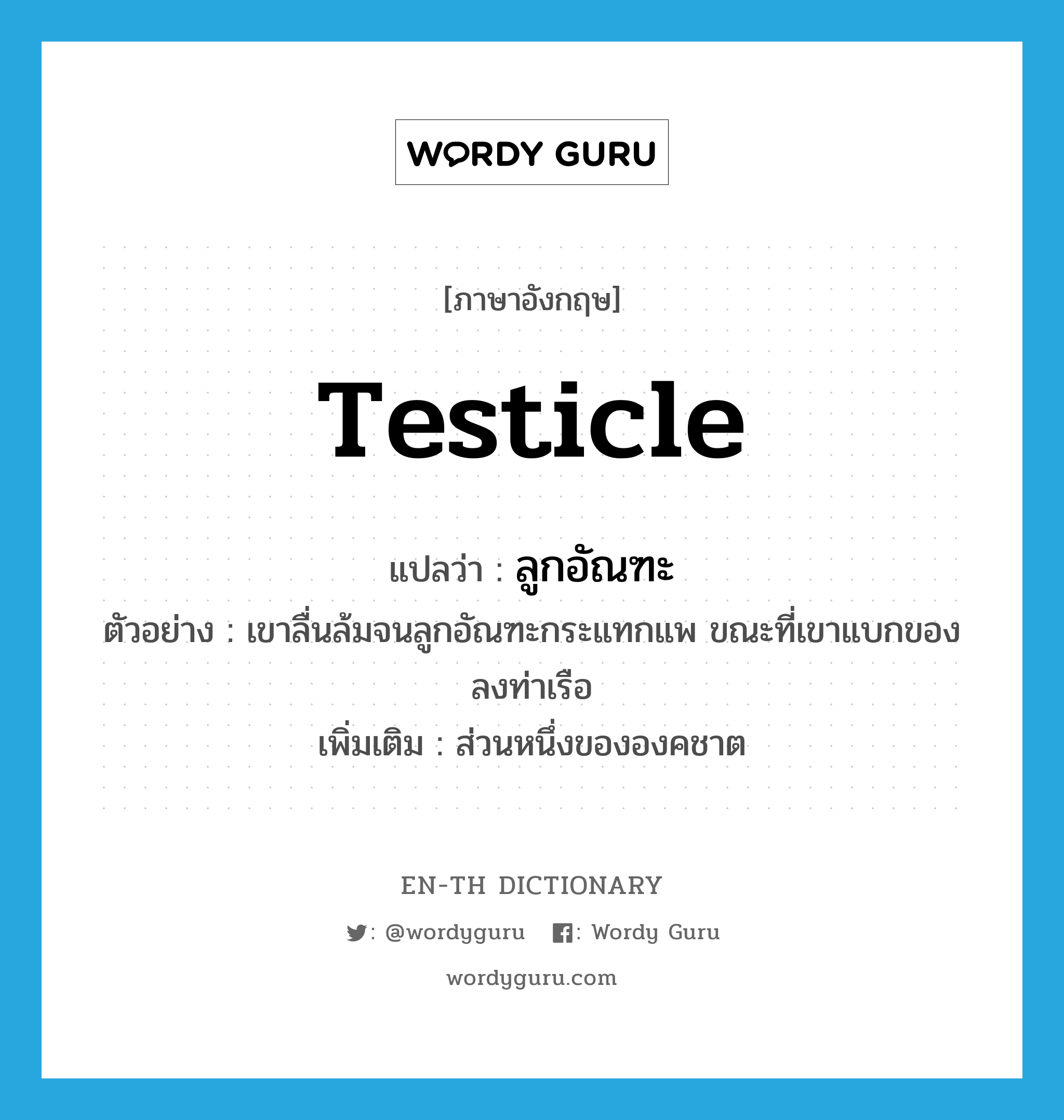 ลูกอัณฑะ ภาษาอังกฤษ?, คำศัพท์ภาษาอังกฤษ ลูกอัณฑะ แปลว่า testicle ประเภท N ตัวอย่าง เขาลื่นล้มจนลูกอัณฑะกระแทกแพ ขณะที่เขาแบกของลงท่าเรือ เพิ่มเติม ส่วนหนึ่งขององคชาต หมวด N