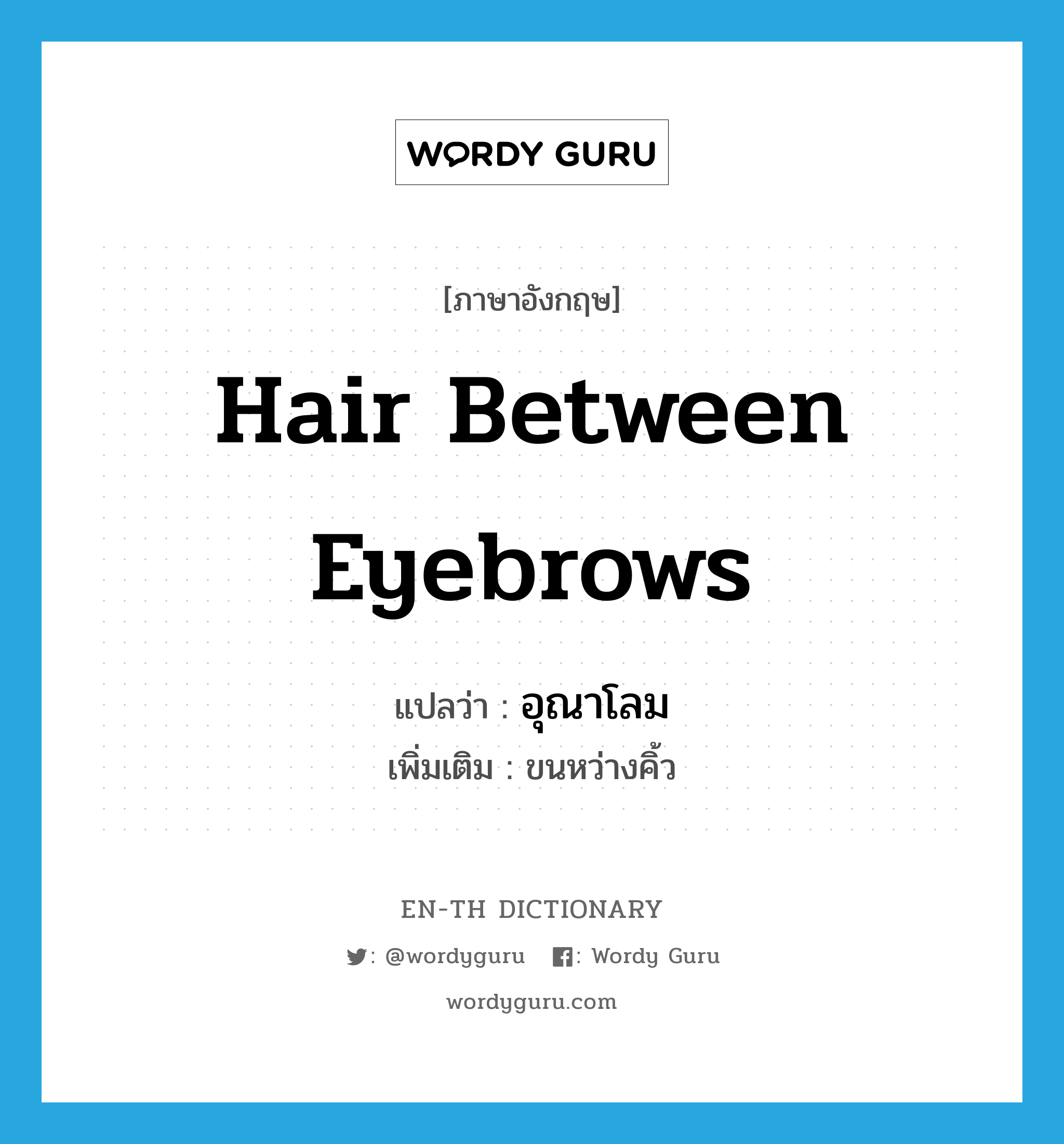 hair between eyebrows แปลว่า?, คำศัพท์ภาษาอังกฤษ hair between eyebrows แปลว่า อุณาโลม ประเภท N เพิ่มเติม ขนหว่างคิ้ว หมวด N