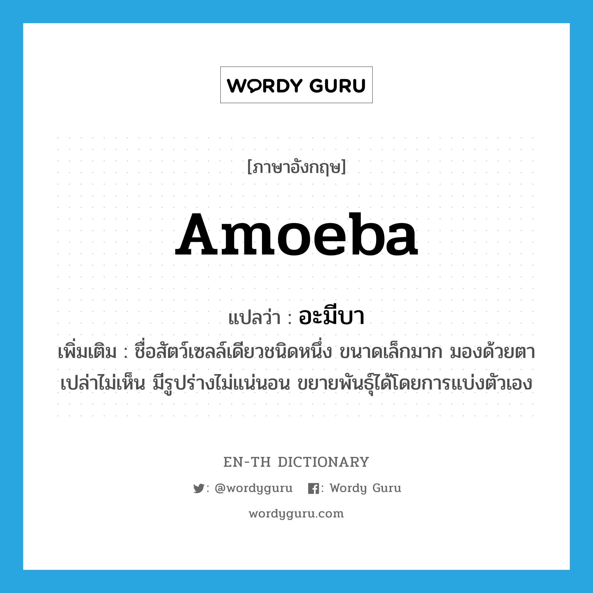 amoeba แปลว่า?, คำศัพท์ภาษาอังกฤษ amoeba แปลว่า อะมีบา ประเภท N เพิ่มเติม ชื่อสัตว์เซลล์เดียวชนิดหนึ่ง ขนาดเล็กมาก มองด้วยตาเปล่าไม่เห็น มีรูปร่างไม่แน่นอน ขยายพันธุ์ได้โดยการแบ่งตัวเอง หมวด N