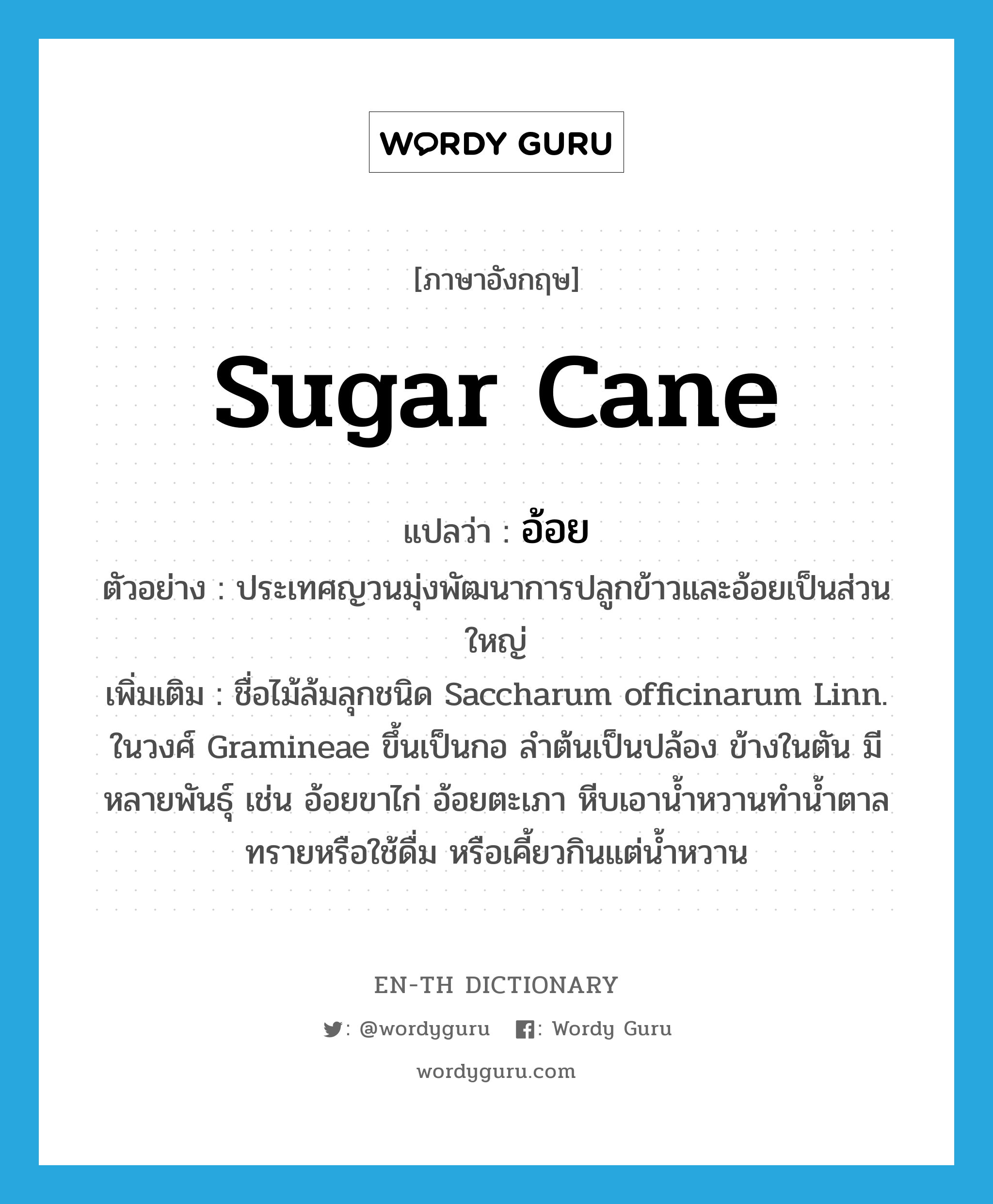 sugar cane แปลว่า?, คำศัพท์ภาษาอังกฤษ sugar cane แปลว่า อ้อย ประเภท N ตัวอย่าง ประเทศญวนมุ่งพัฒนาการปลูกข้าวและอ้อยเป็นส่วนใหญ่ เพิ่มเติม ชื่อไม้ล้มลุกชนิด Saccharum officinarum Linn. ในวงศ์ Gramineae ขึ้นเป็นกอ ลำต้นเป็นปล้อง ข้างในตัน มีหลายพันธุ์ เช่น อ้อยขาไก่ อ้อยตะเภา หีบเอาน้ำหวานทำน้ำตาลทรายหรือใช้ดื่ม หรือเคี้ยวกินแต่น้ำหวาน หมวด N