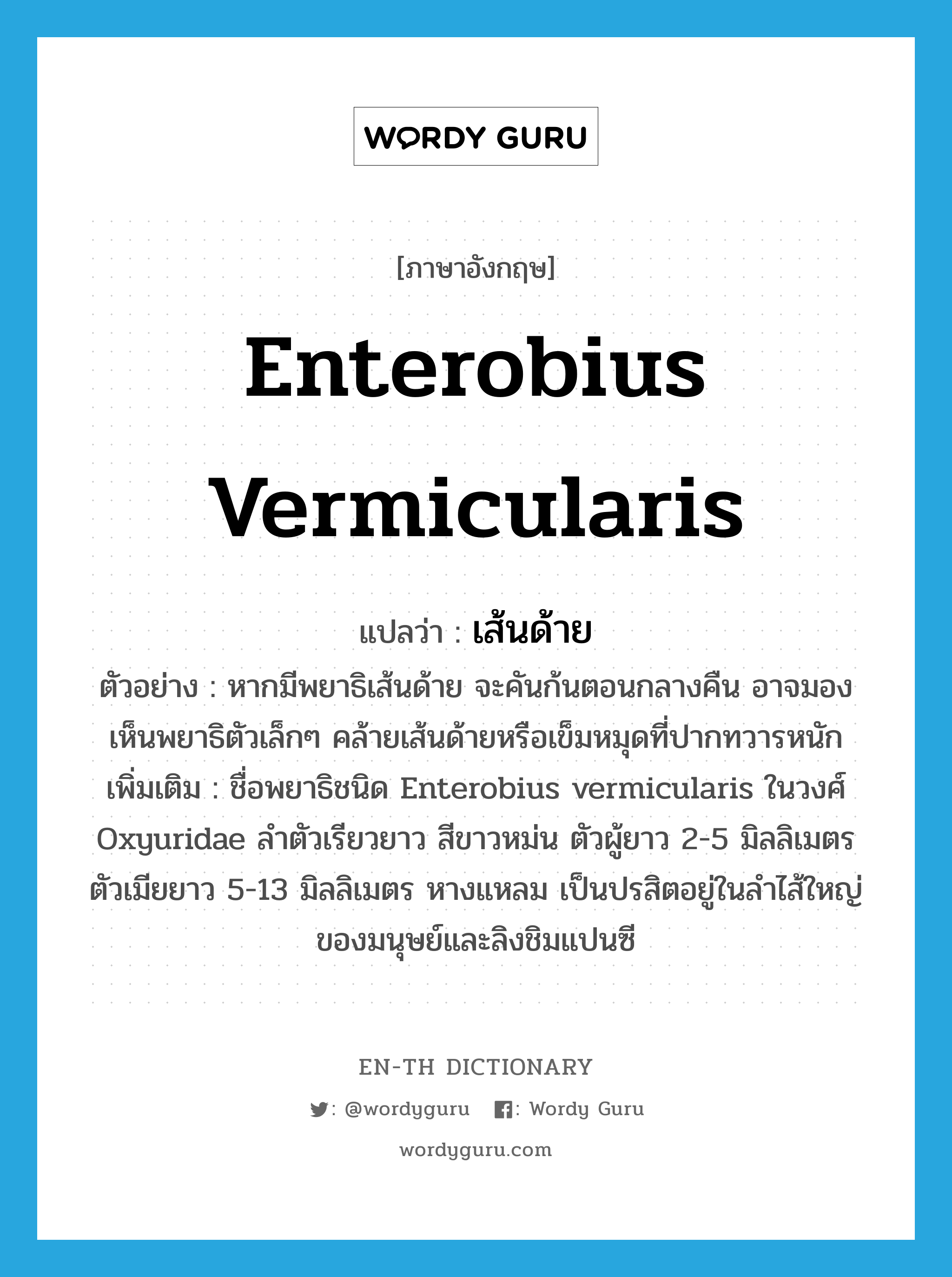 Enterobius vermicularis แปลว่า?, คำศัพท์ภาษาอังกฤษ Enterobius vermicularis แปลว่า เส้นด้าย ประเภท N ตัวอย่าง หากมีพยาธิเส้นด้าย จะคันก้นตอนกลางคืน อาจมองเห็นพยาธิตัวเล็กๆ คล้ายเส้นด้ายหรือเข็มหมุดที่ปากทวารหนัก เพิ่มเติม ชื่อพยาธิชนิด Enterobius vermicularis ในวงศ์ Oxyuridae ลำตัวเรียวยาว สีขาวหม่น ตัวผู้ยาว 2-5 มิลลิเมตร ตัวเมียยาว 5-13 มิลลิเมตร หางแหลม เป็นปรสิตอยู่ในลำไส้ใหญ่ของมนุษย์และลิงชิมแปนซี หมวด N