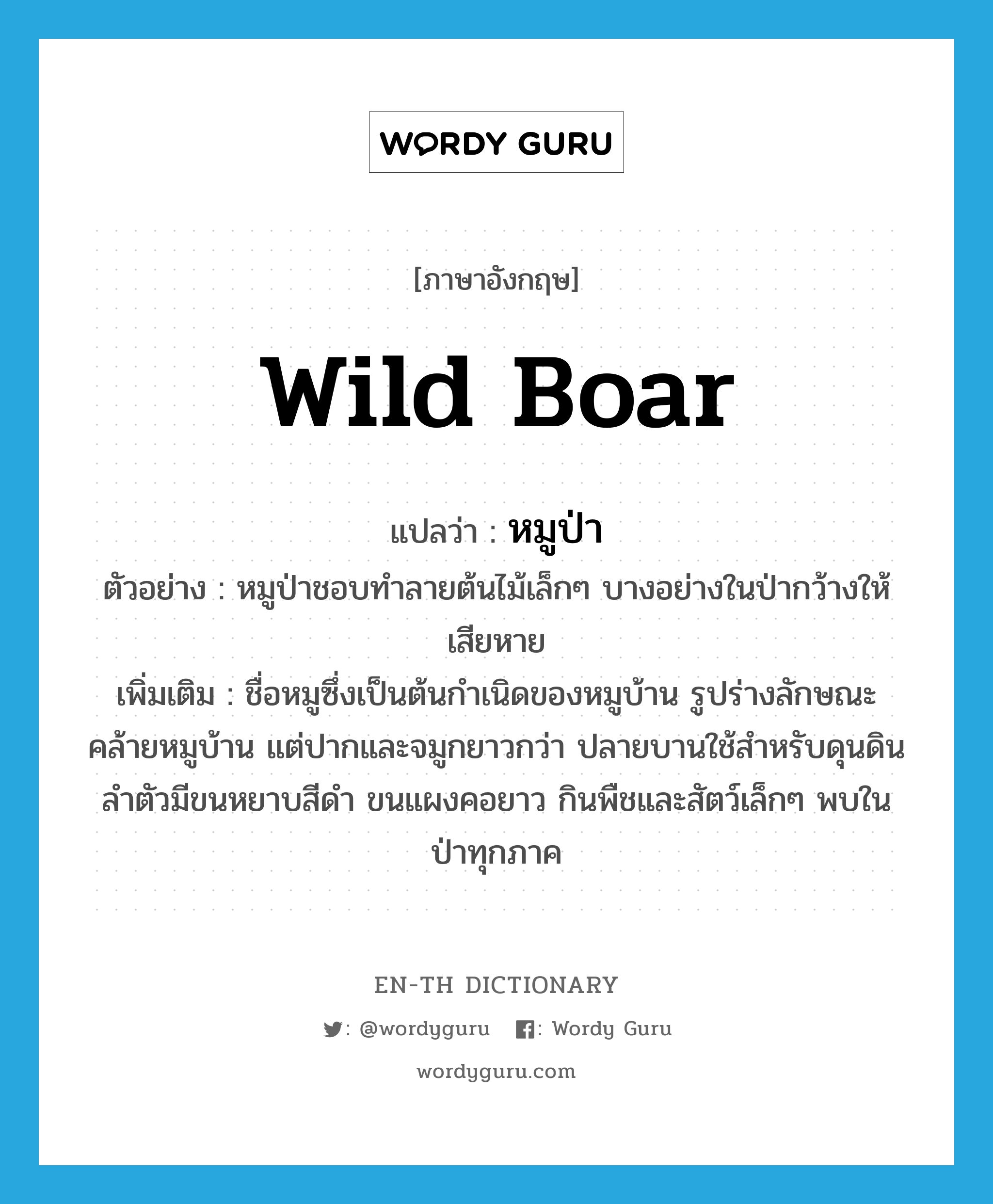 wild boar แปลว่า?, คำศัพท์ภาษาอังกฤษ wild boar แปลว่า หมูป่า ประเภท N ตัวอย่าง หมูป่าชอบทำลายต้นไม้เล็กๆ บางอย่างในป่ากว้างให้เสียหาย เพิ่มเติม ชื่อหมูซึ่งเป็นต้นกำเนิดของหมูบ้าน รูปร่างลักษณะคล้ายหมูบ้าน แต่ปากและจมูกยาวกว่า ปลายบานใช้สำหรับดุนดิน ลำตัวมีขนหยาบสีดำ ขนแผงคอยาว กินพืชและสัตว์เล็กๆ พบในป่าทุกภาค หมวด N