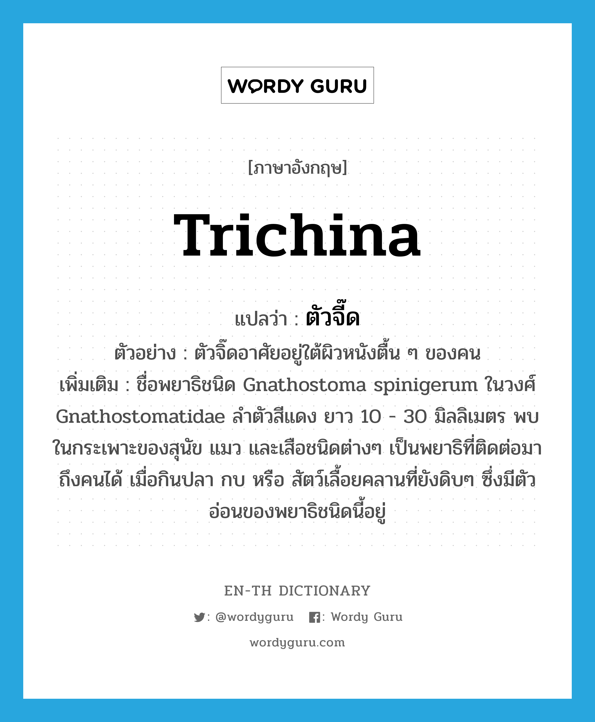 trichina แปลว่า?, คำศัพท์ภาษาอังกฤษ trichina แปลว่า ตัวจี๊ด ประเภท N ตัวอย่าง ตัวจิ๊ดอาศัยอยู่ใต้ผิวหนังตื้น ๆ ของคน เพิ่มเติม ชื่อพยาธิชนิด Gnathostoma spinigerum ในวงศ์ Gnathostomatidae ลำตัวสีแดง ยาว 10 - 30 มิลลิเมตร พบในกระเพาะของสุนัข แมว และเสือชนิดต่างๆ เป็นพยาธิที่ติดต่อมาถึงคนได้ เมื่อกินปลา กบ หรือ สัตว์เลื้อยคลานที่ยังดิบๆ ซึ่งมีตัวอ่อนของพยาธิชนิดนี้อยู่ หมวด N