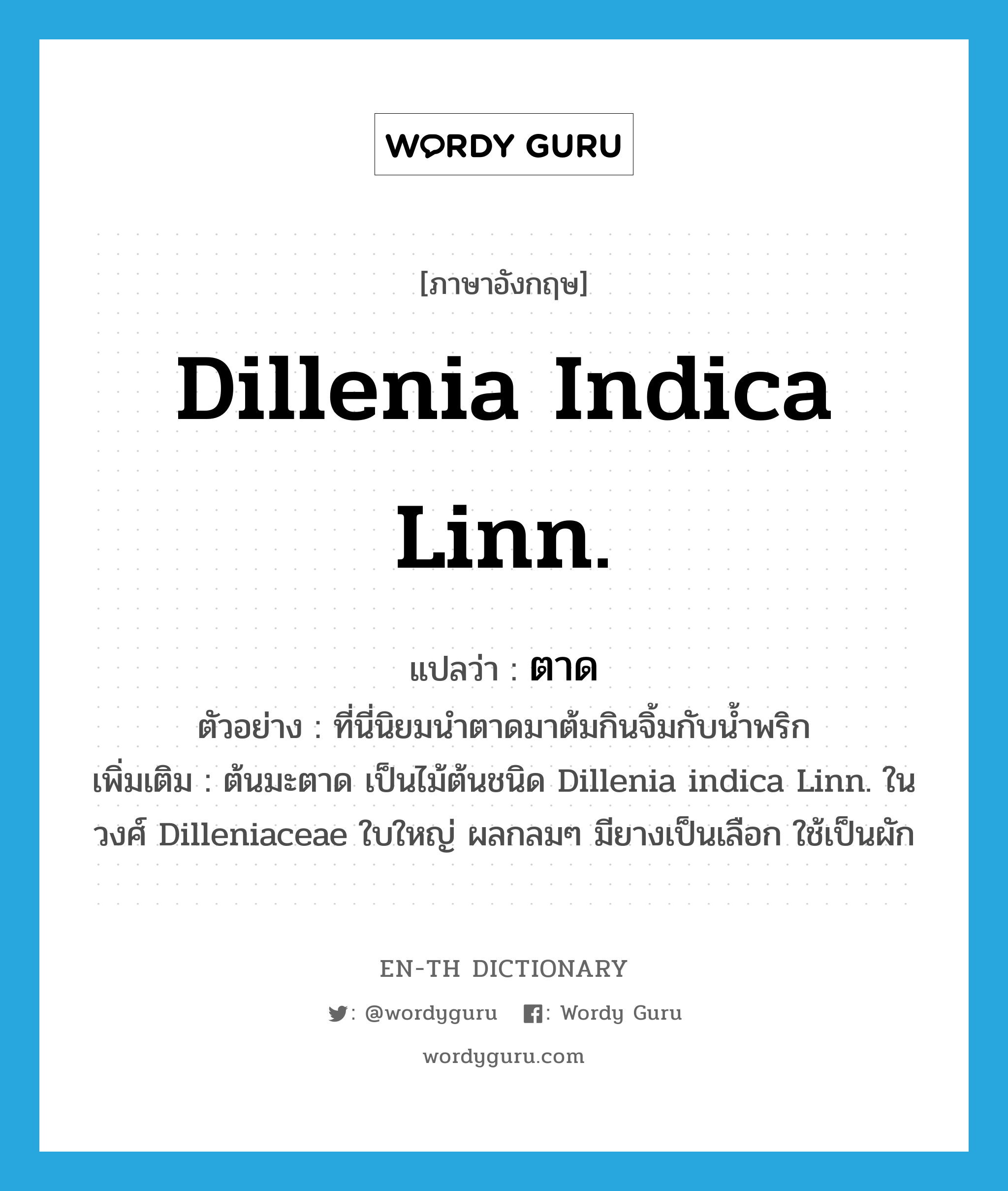 Dillenia indica Linn. แปลว่า?, คำศัพท์ภาษาอังกฤษ Dillenia indica Linn. แปลว่า ตาด ประเภท N ตัวอย่าง ที่นี่นิยมนำตาดมาต้มกินจิ้มกับน้ำพริก เพิ่มเติม ต้นมะตาด เป็นไม้ต้นชนิด Dillenia indica Linn. ในวงศ์ Dilleniaceae ใบใหญ่ ผลกลมๆ มียางเป็นเลือก ใช้เป็นผัก หมวด N