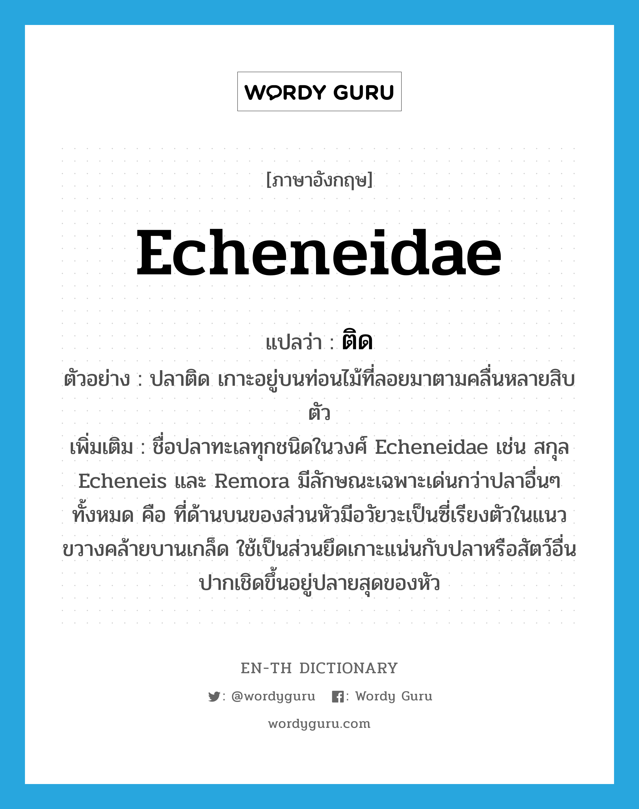 ติด ภาษาอังกฤษ?, คำศัพท์ภาษาอังกฤษ ติด แปลว่า Echeneidae ประเภท N ตัวอย่าง ปลาติด เกาะอยู่บนท่อนไม้ที่ลอยมาตามคลื่นหลายสิบตัว เพิ่มเติม ชื่อปลาทะเลทุกชนิดในวงศ์ Echeneidae เช่น สกุล Echeneis และ Remora มีลักษณะเฉพาะเด่นกว่าปลาอื่นๆ ทั้งหมด คือ ที่ด้านบนของส่วนหัวมีอวัยวะเป็นซี่เรียงตัวในแนวขวางคล้ายบานเกล็ด ใช้เป็นส่วนยึดเกาะแน่นกับปลาหรือสัตว์อื่น ปากเชิดขึ้นอยู่ปลายสุดของหัว หมวด N