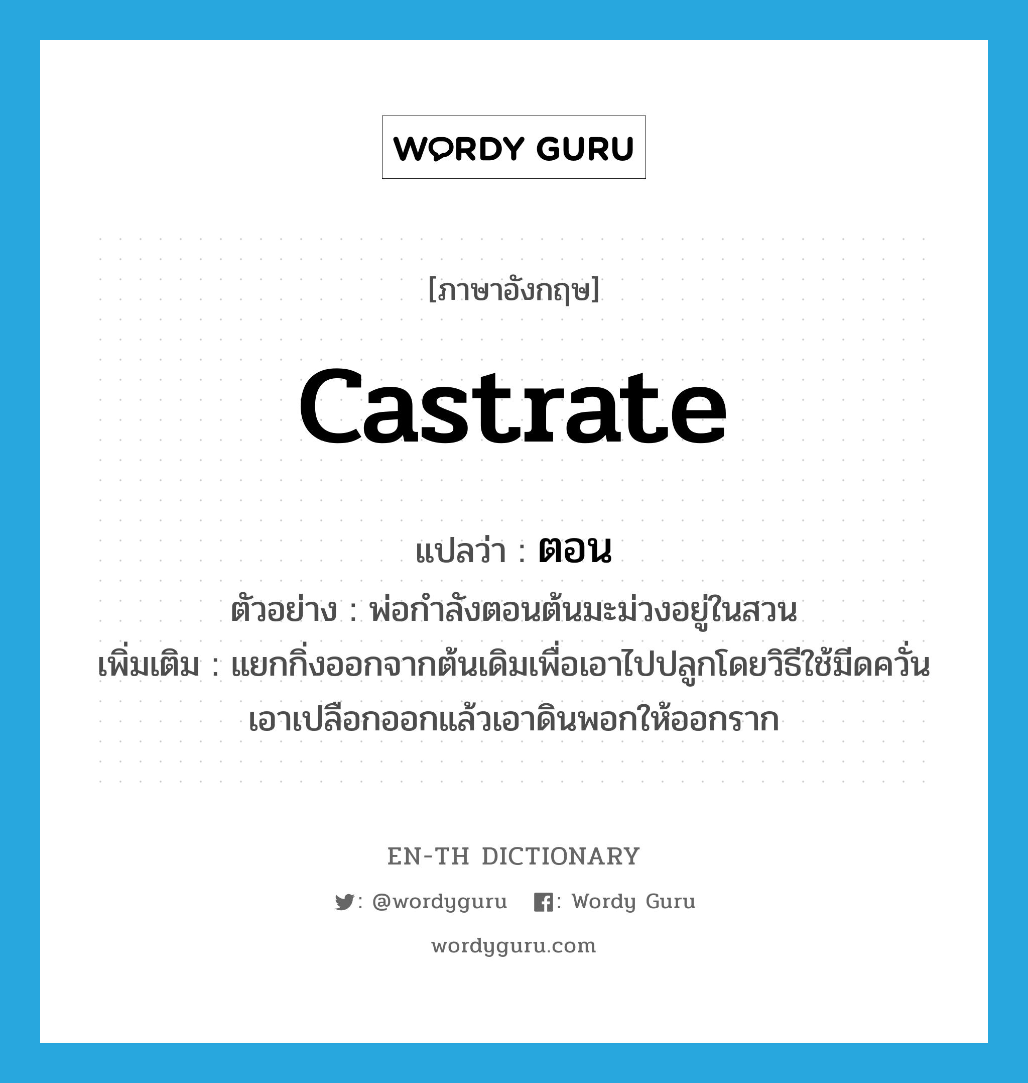 castrate แปลว่า?, คำศัพท์ภาษาอังกฤษ castrate แปลว่า ตอน ประเภท V ตัวอย่าง พ่อกำลังตอนต้นมะม่วงอยู่ในสวน เพิ่มเติม แยกกิ่งออกจากต้นเดิมเพื่อเอาไปปลูกโดยวิธีใช้มีดควั่นเอาเปลือกออกแล้วเอาดินพอกให้ออกราก หมวด V