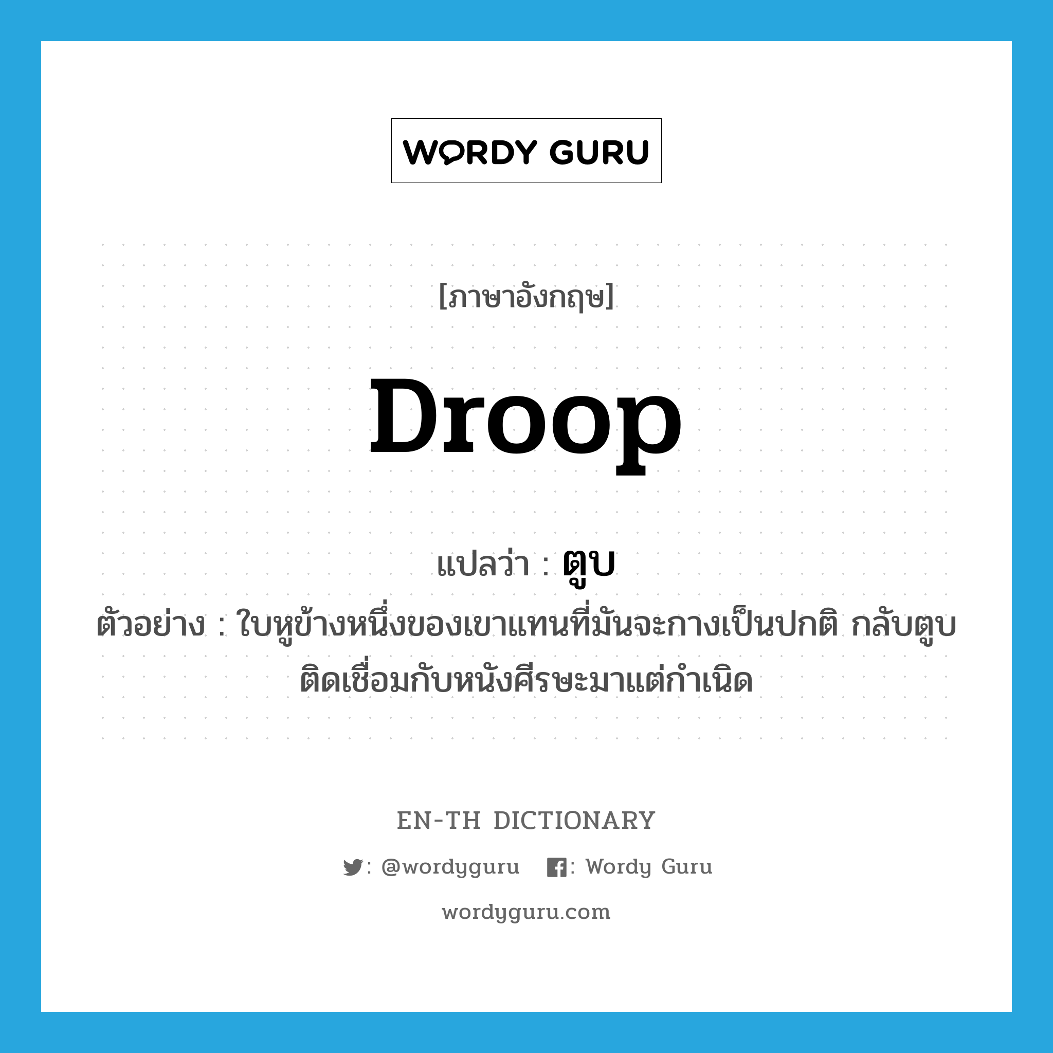 droop แปลว่า?, คำศัพท์ภาษาอังกฤษ droop แปลว่า ตูบ ประเภท V ตัวอย่าง ใบหูข้างหนึ่งของเขาแทนที่มันจะกางเป็นปกติ กลับตูบติดเชื่อมกับหนังศีรษะมาแต่กำเนิด หมวด V