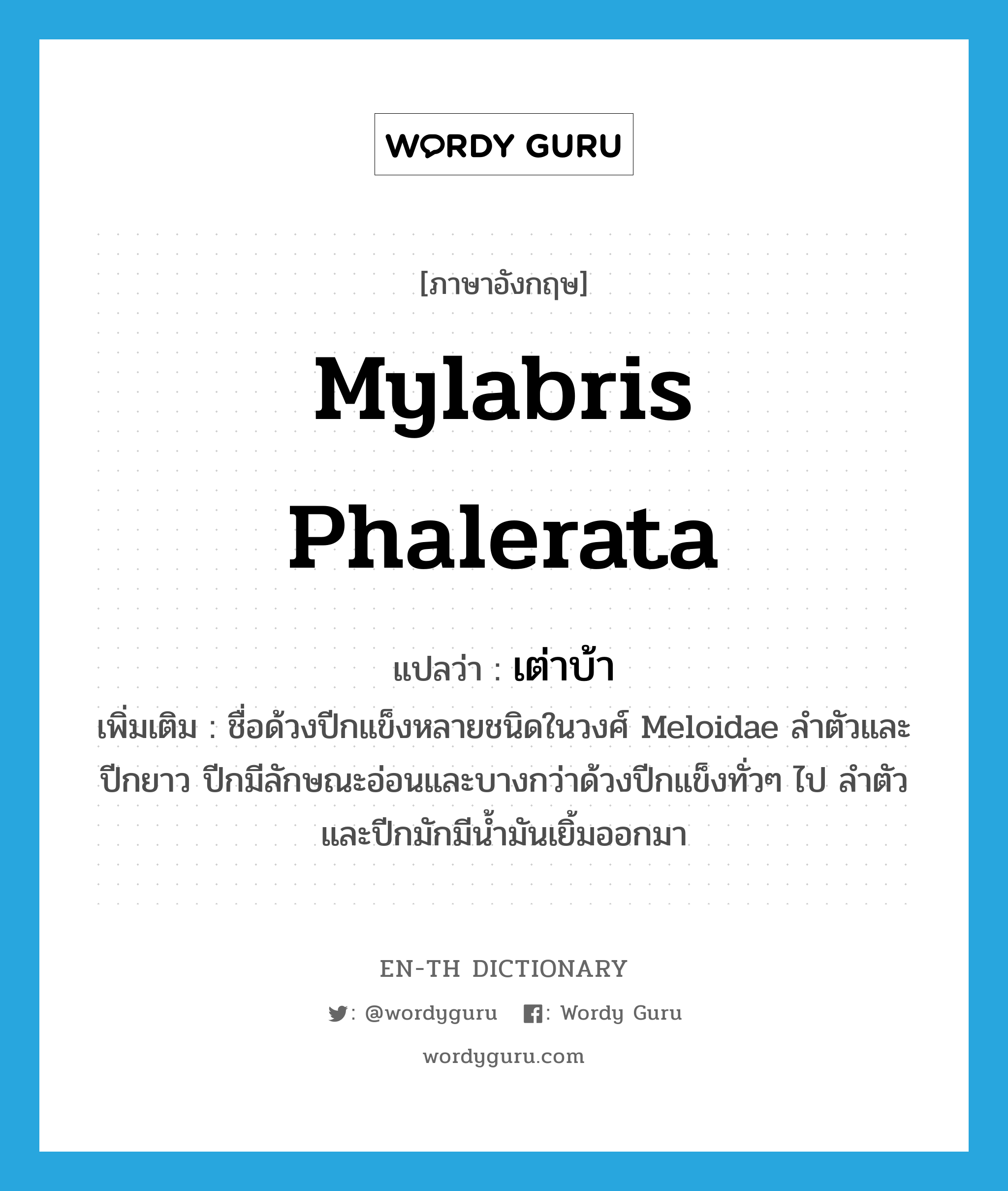 Mylabris phalerata แปลว่า?, คำศัพท์ภาษาอังกฤษ Mylabris phalerata แปลว่า เต่าบ้า ประเภท N เพิ่มเติม ชื่อด้วงปีกแข็งหลายชนิดในวงศ์ Meloidae ลำตัวและปีกยาว ปีกมีลักษณะอ่อนและบางกว่าด้วงปีกแข็งทั่วๆ ไป ลำตัวและปีกมักมีน้ำมันเยิ้มออกมา หมวด N