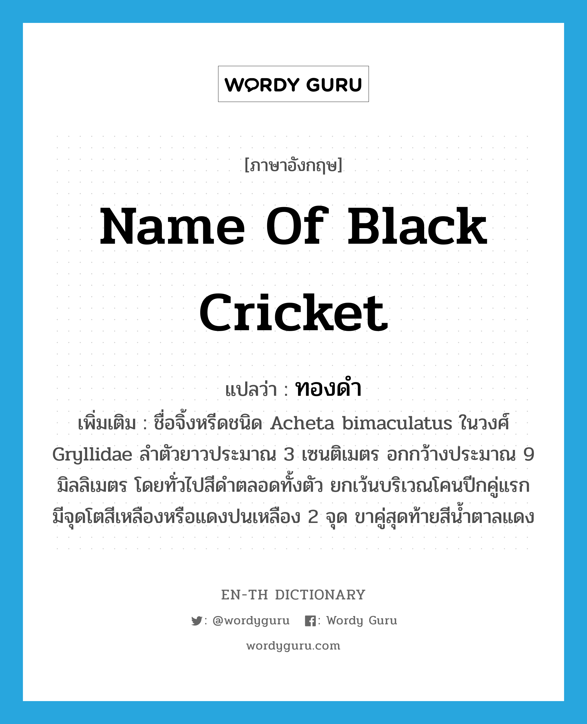 name of black cricket แปลว่า?, คำศัพท์ภาษาอังกฤษ name of black cricket แปลว่า ทองดำ ประเภท N เพิ่มเติม ชื่อจิ้งหรีดชนิด Acheta bimaculatus ในวงศ์ Gryllidae ลำตัวยาวประมาณ 3 เซนติเมตร อกกว้างประมาณ 9 มิลลิเมตร โดยทั่วไปสีดำตลอดทั้งตัว ยกเว้นบริเวณโคนปีกคู่แรกมีจุดโตสีเหลืองหรือแดงปนเหลือง 2 จุด ขาคู่สุดท้ายสีน้ำตาลแดง หมวด N