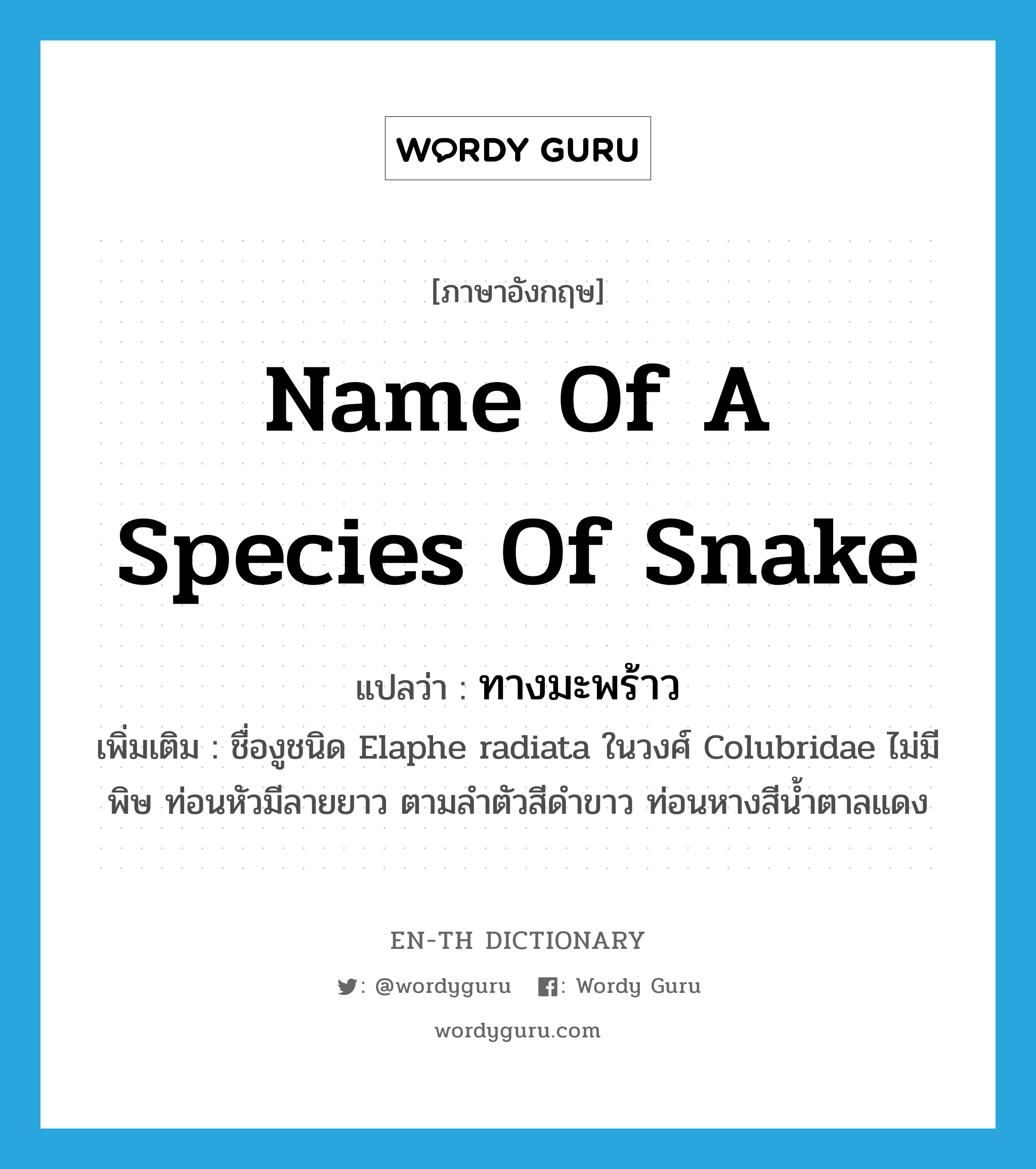 name of a species of snake แปลว่า?, คำศัพท์ภาษาอังกฤษ name of a species of snake แปลว่า ทางมะพร้าว ประเภท N เพิ่มเติม ชื่องูชนิด Elaphe radiata ในวงศ์ Colubridae ไม่มีพิษ ท่อนหัวมีลายยาว ตามลำตัวสีดำขาว ท่อนหางสีน้ำตาลแดง หมวด N