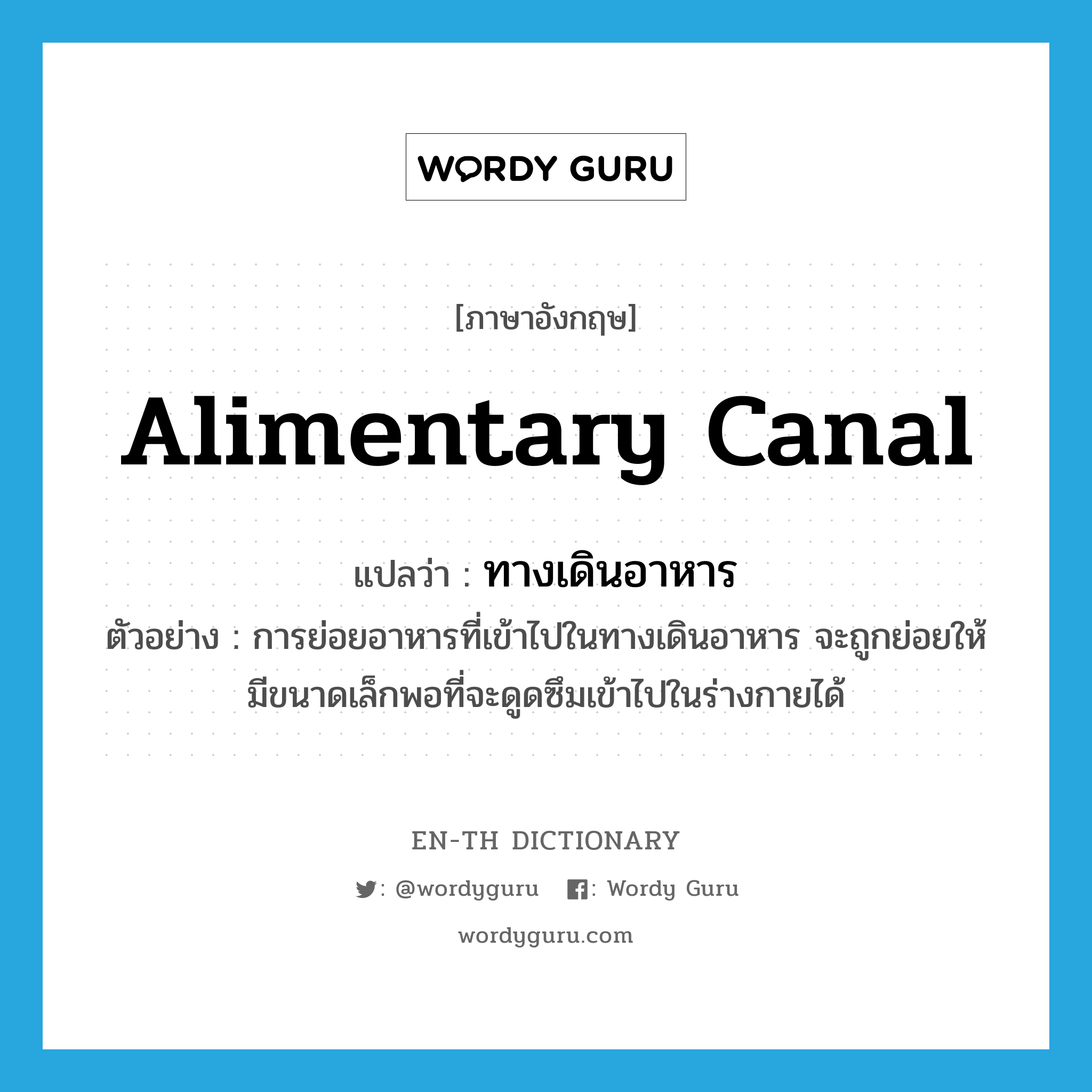 ทางเดินอาหาร ภาษาอังกฤษ?, คำศัพท์ภาษาอังกฤษ ทางเดินอาหาร แปลว่า alimentary canal ประเภท N ตัวอย่าง การย่อยอาหารที่เข้าไปในทางเดินอาหาร จะถูกย่อยให้มีขนาดเล็กพอที่จะดูดซึมเข้าไปในร่างกายได้ หมวด N