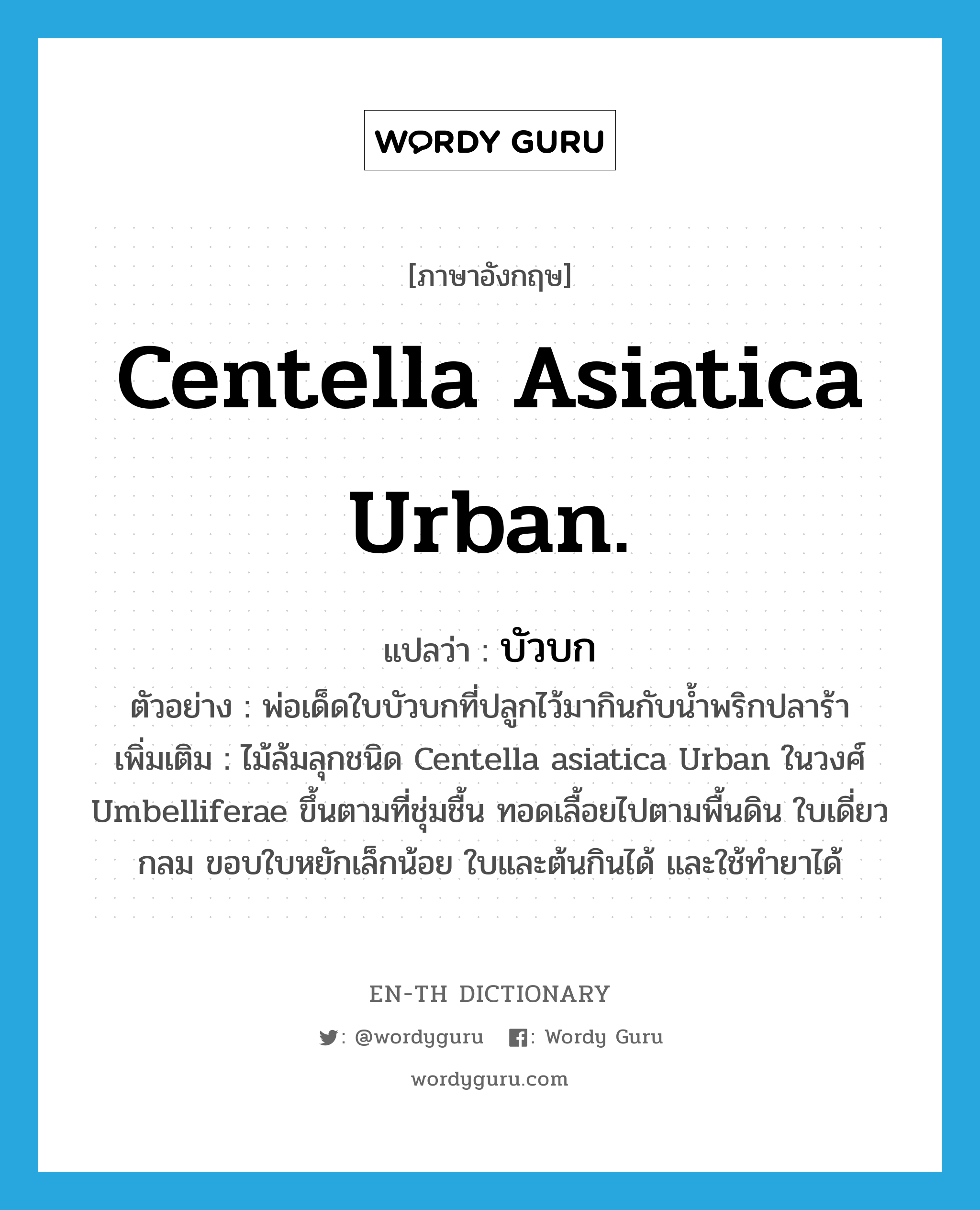 Centella asiatica Urban. แปลว่า?, คำศัพท์ภาษาอังกฤษ Centella asiatica Urban. แปลว่า บัวบก ประเภท N ตัวอย่าง พ่อเด็ดใบบัวบกที่ปลูกไว้มากินกับน้ำพริกปลาร้า เพิ่มเติม ไม้ล้มลุกชนิด Centella asiatica Urban ในวงศ์ Umbelliferae ขึ้นตามที่ชุ่มชื้น ทอดเลื้อยไปตามพื้นดิน ใบเดี่ยวกลม ขอบใบหยักเล็กน้อย ใบและต้นกินได้ และใช้ทำยาได้ หมวด N