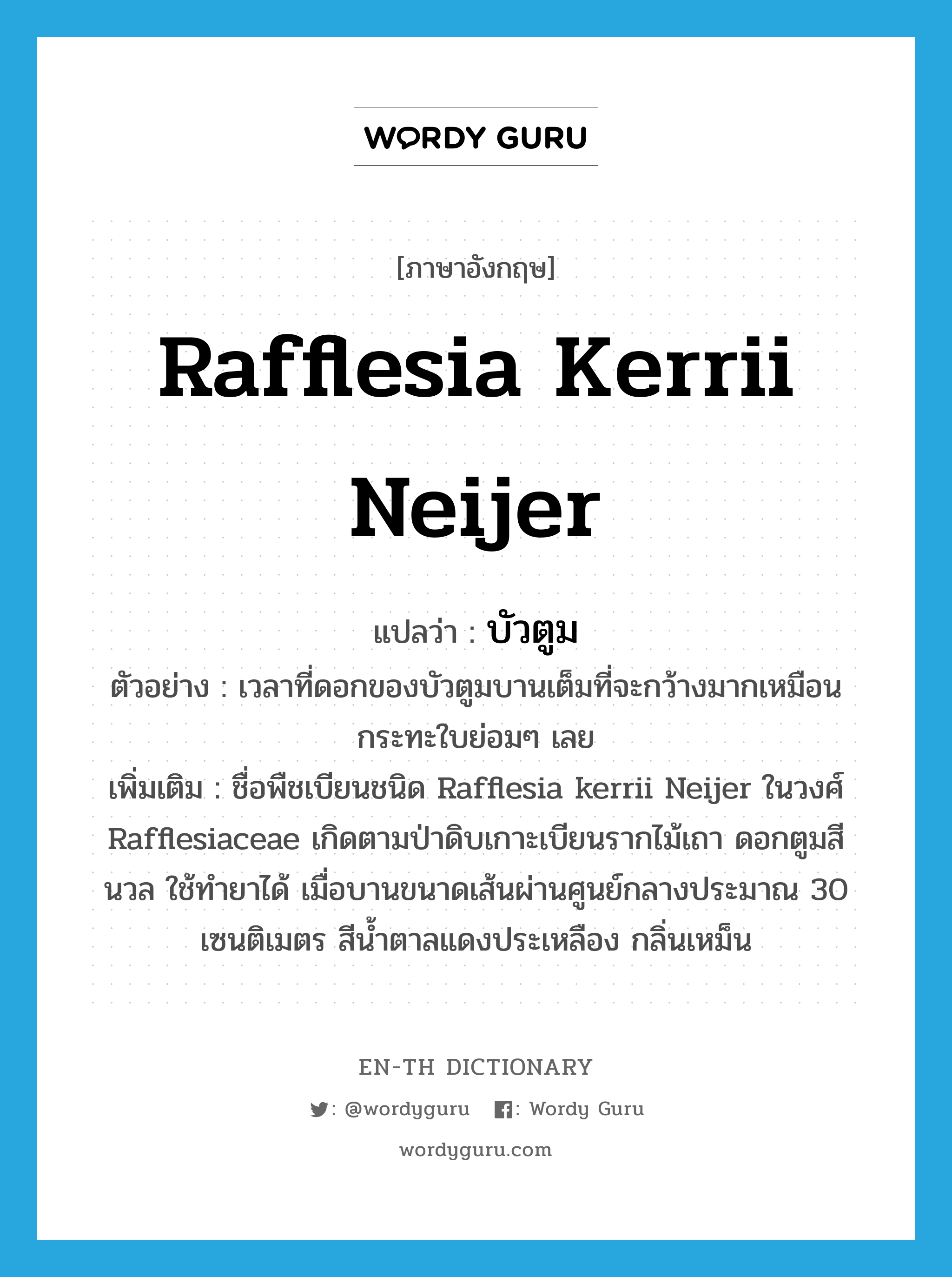 Rafflesia kerrii Neijer แปลว่า?, คำศัพท์ภาษาอังกฤษ Rafflesia kerrii Neijer แปลว่า บัวตูม ประเภท N ตัวอย่าง เวลาที่ดอกของบัวตูมบานเต็มที่จะกว้างมากเหมือนกระทะใบย่อมๆ เลย เพิ่มเติม ชื่อพืชเบียนชนิด Rafflesia kerrii Neijer ในวงศ์ Rafflesiaceae เกิดตามป่าดิบเกาะเบียนรากไม้เถา ดอกตูมสีนวล ใช้ทำยาได้ เมื่อบานขนาดเส้นผ่านศูนย์กลางประมาณ 30 เซนติเมตร สีน้ำตาลแดงประเหลือง กลิ่นเหม็น หมวด N