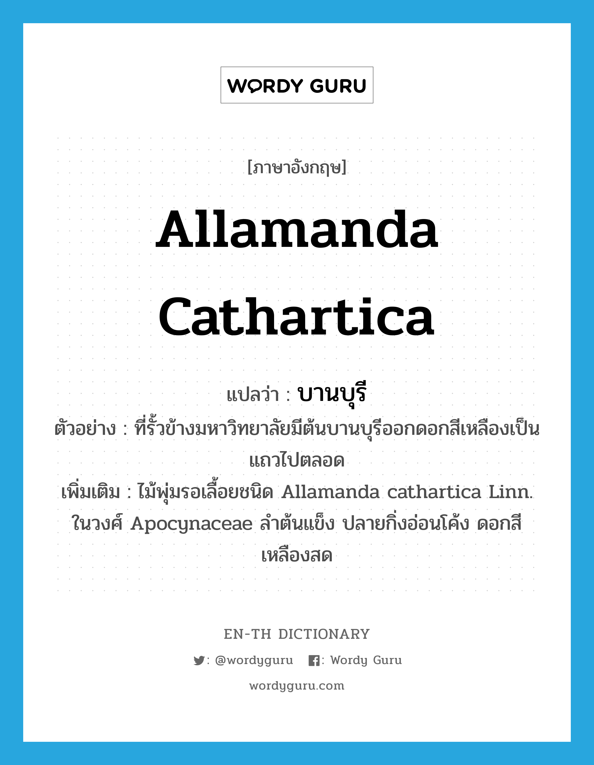 Allamanda cathartica แปลว่า?, คำศัพท์ภาษาอังกฤษ Allamanda cathartica แปลว่า บานบุรี ประเภท N ตัวอย่าง ที่รั้วข้างมหาวิทยาลัยมีต้นบานบุรีออกดอกสีเหลืองเป็นแถวไปตลอด เพิ่มเติม ไม้พุ่มรอเลื้อยชนิด Allamanda cathartica Linn. ในวงศ์ Apocynaceae ลำต้นแข็ง ปลายกิ่งอ่อนโค้ง ดอกสีเหลืองสด หมวด N