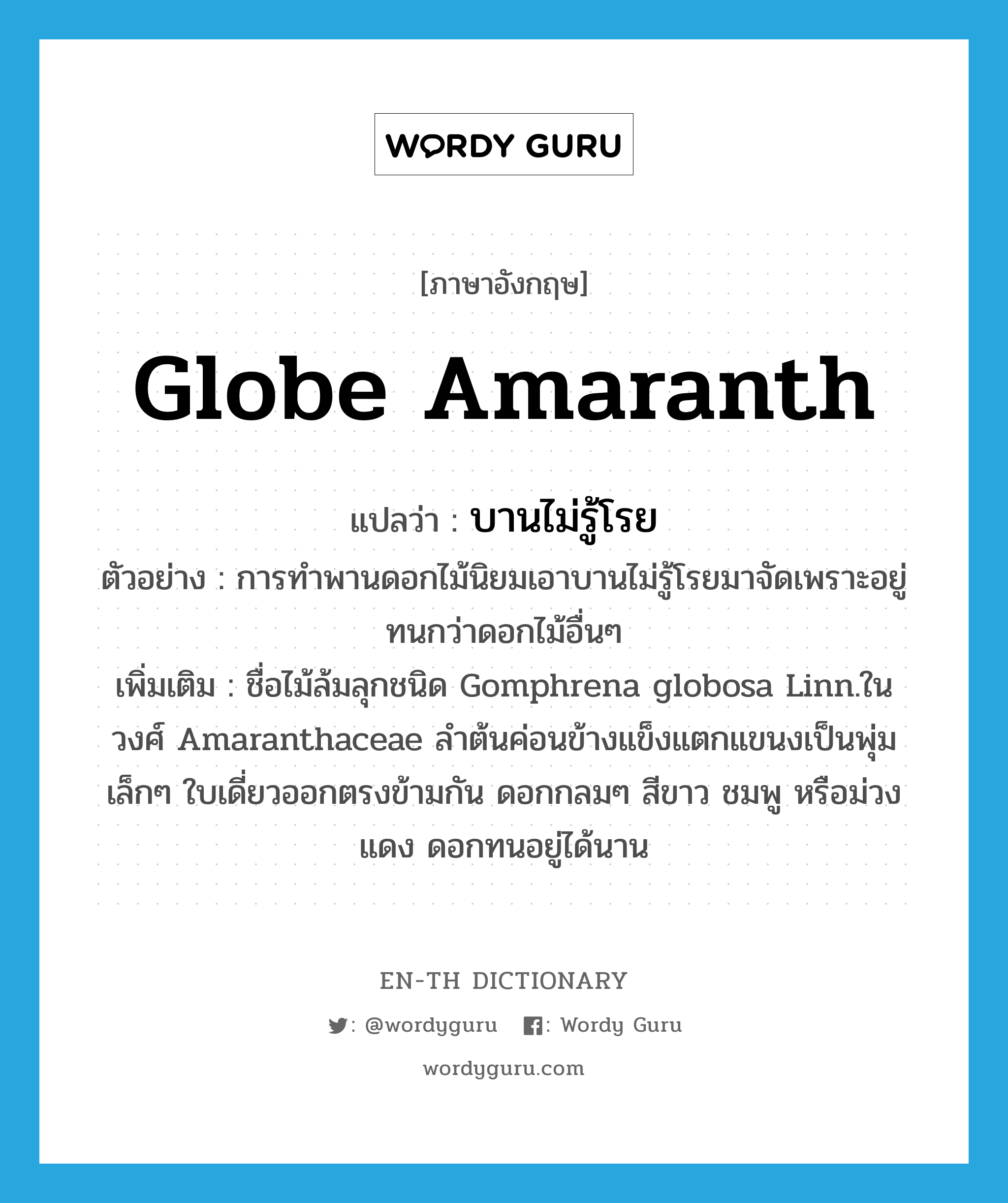 Globe amaranth แปลว่า?, คำศัพท์ภาษาอังกฤษ Globe amaranth แปลว่า บานไม่รู้โรย ประเภท N ตัวอย่าง การทำพานดอกไม้นิยมเอาบานไม่รู้โรยมาจัดเพราะอยู่ทนกว่าดอกไม้อื่นๆ เพิ่มเติม ชื่อไม้ล้มลุกชนิด Gomphrena globosa Linn.ในวงศ์ Amaranthaceae ลำต้นค่อนข้างแข็งแตกแขนงเป็นพุ่มเล็กๆ ใบเดี่ยวออกตรงข้ามกัน ดอกกลมๆ สีขาว ชมพู หรือม่วงแดง ดอกทนอยู่ได้นาน หมวด N