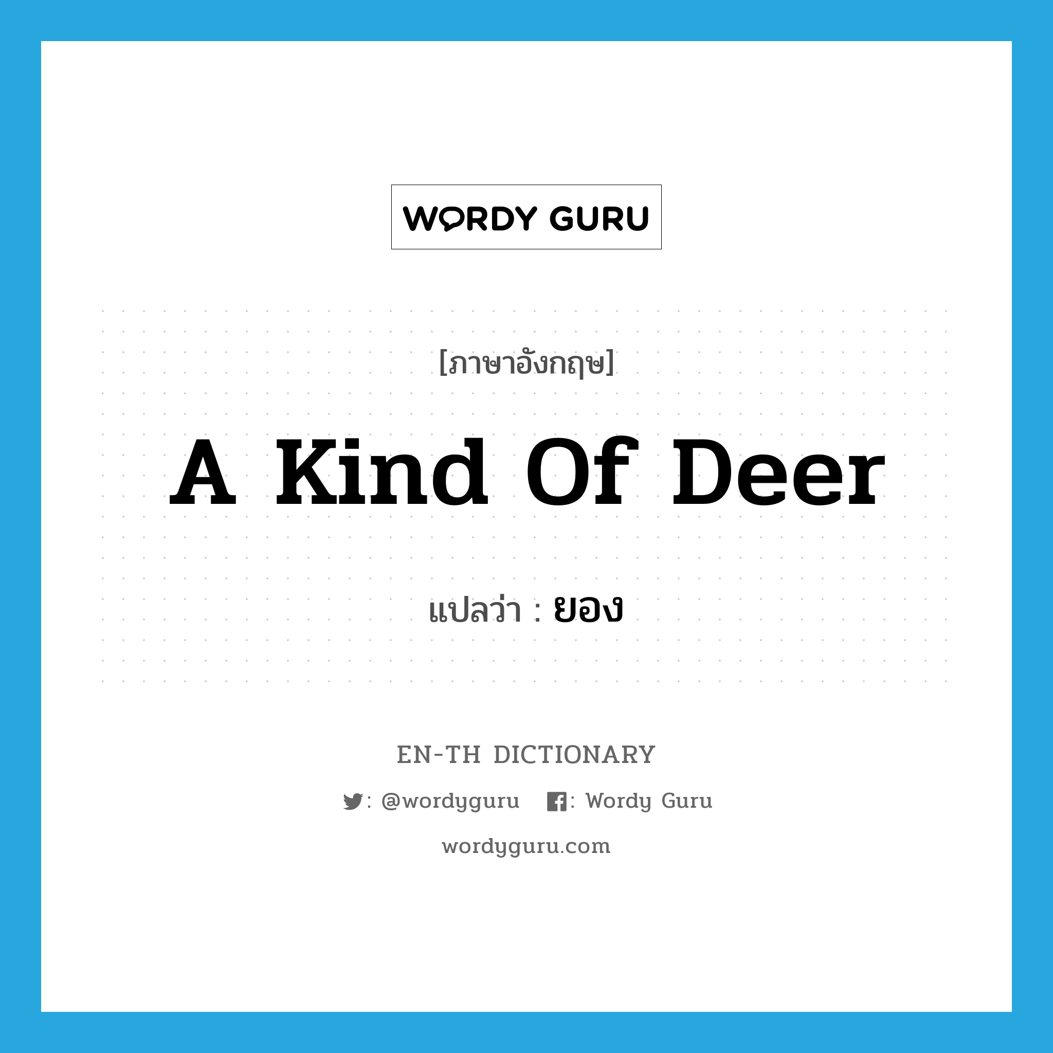 a kind of deer แปลว่า?, คำศัพท์ภาษาอังกฤษ a kind of deer แปลว่า ยอง ประเภท N หมวด N