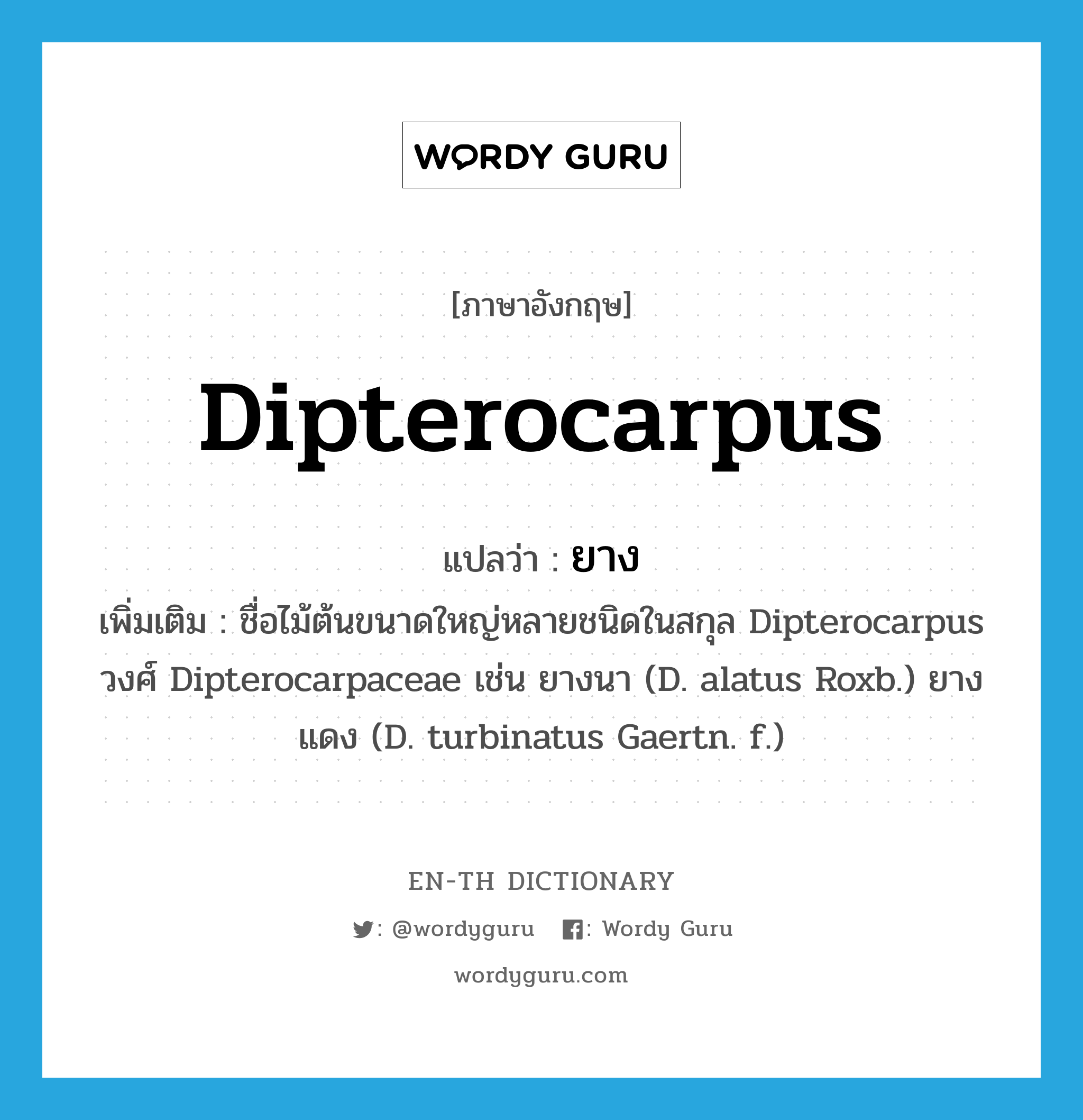 Dipterocarpus แปลว่า?, คำศัพท์ภาษาอังกฤษ Dipterocarpus แปลว่า ยาง ประเภท N เพิ่มเติม ชื่อไม้ต้นขนาดใหญ่หลายชนิดในสกุล Dipterocarpus วงศ์ Dipterocarpaceae เช่น ยางนา (D. alatus Roxb.) ยางแดง (D. turbinatus Gaertn. f.) หมวด N