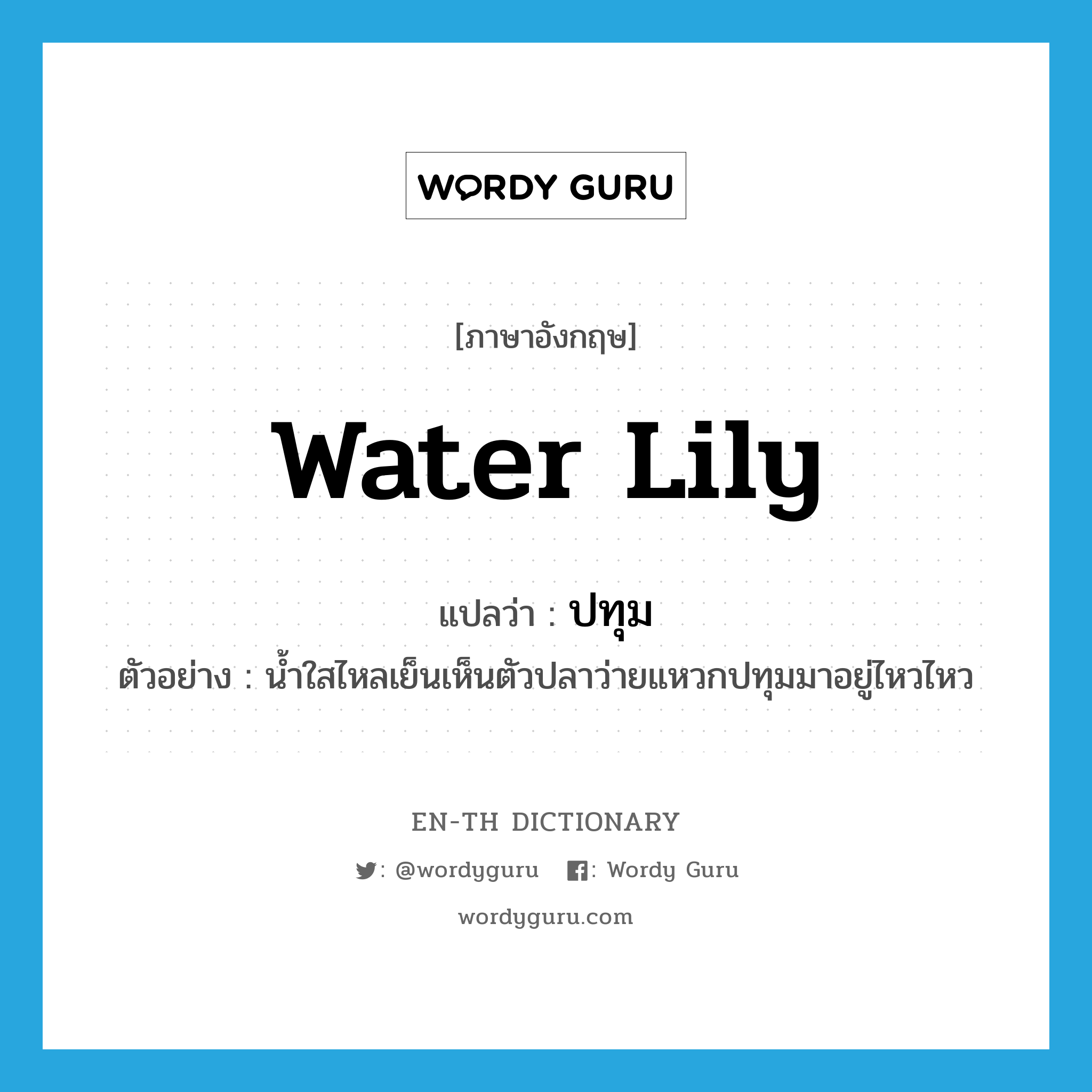 water lily แปลว่า?, คำศัพท์ภาษาอังกฤษ water lily แปลว่า ปทุม ประเภท N ตัวอย่าง น้ำใสไหลเย็นเห็นตัวปลาว่ายแหวกปทุมมาอยู่ไหวไหว หมวด N