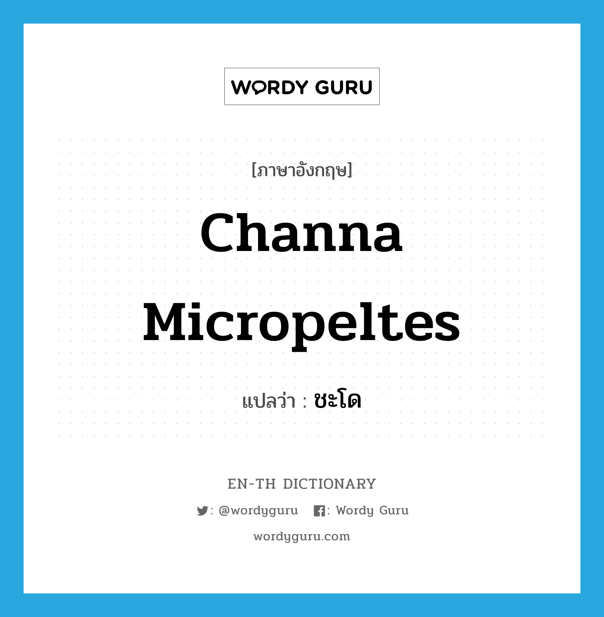 Channa micropeltes แปลว่า?, คำศัพท์ภาษาอังกฤษ Channa micropeltes แปลว่า ชะโด ประเภท N หมวด N