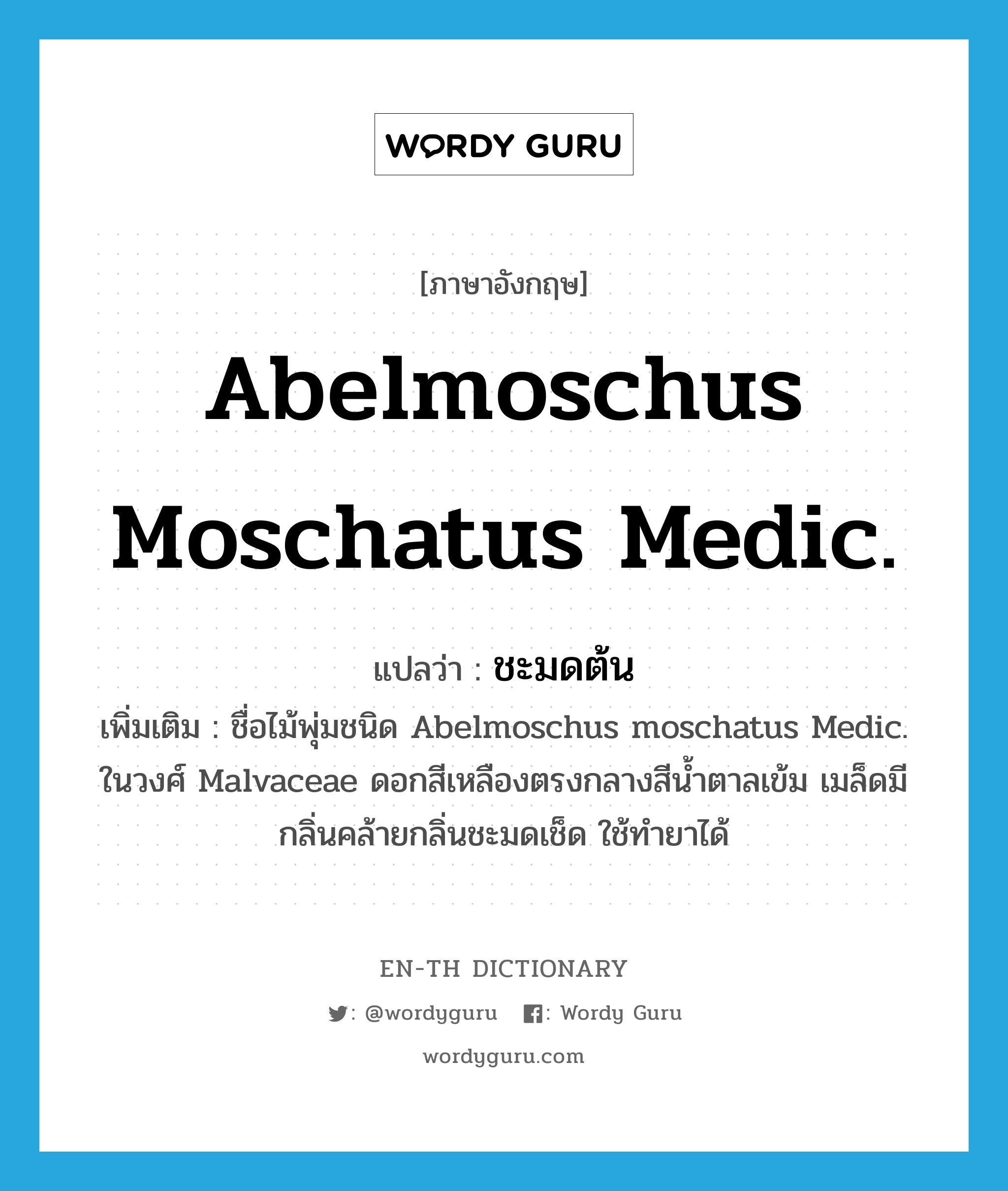 Abelmoschus moschatus Medic. แปลว่า?, คำศัพท์ภาษาอังกฤษ Abelmoschus moschatus Medic. แปลว่า ชะมดต้น ประเภท N เพิ่มเติม ชื่อไม้พุ่มชนิด Abelmoschus moschatus Medic. ในวงศ์ Malvaceae ดอกสีเหลืองตรงกลางสีน้ำตาลเข้ม เมล็ดมีกลิ่นคล้ายกลิ่นชะมดเช็ด ใช้ทำยาได้ หมวด N