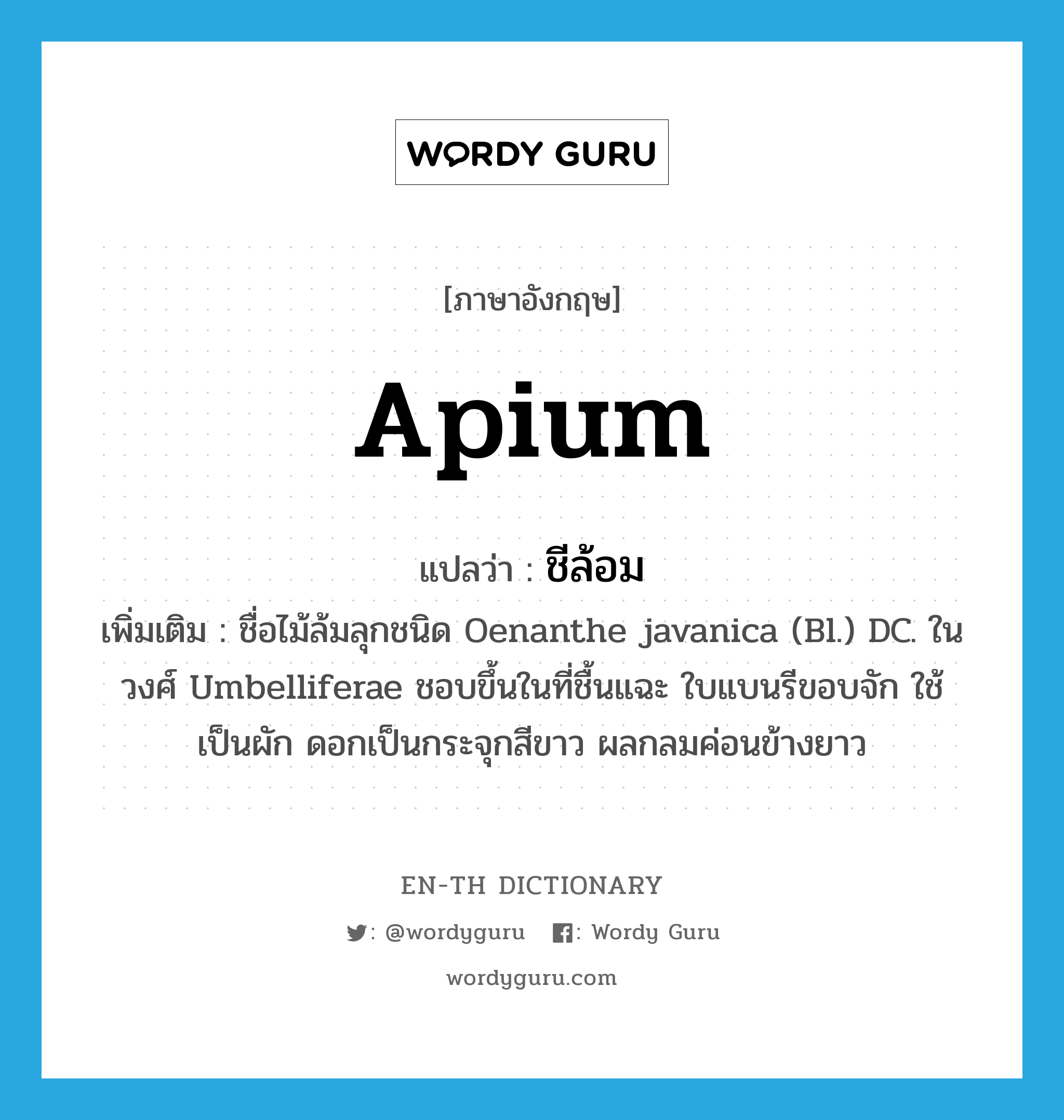 Apium แปลว่า?, คำศัพท์ภาษาอังกฤษ Apium แปลว่า ชีล้อม ประเภท N เพิ่มเติม ชื่อไม้ล้มลุกชนิด Oenanthe javanica (Bl.) DC. ในวงศ์ Umbelliferae ชอบขึ้นในที่ชื้นแฉะ ใบแบนรีขอบจัก ใช้เป็นผัก ดอกเป็นกระจุกสีขาว ผลกลมค่อนข้างยาว หมวด N